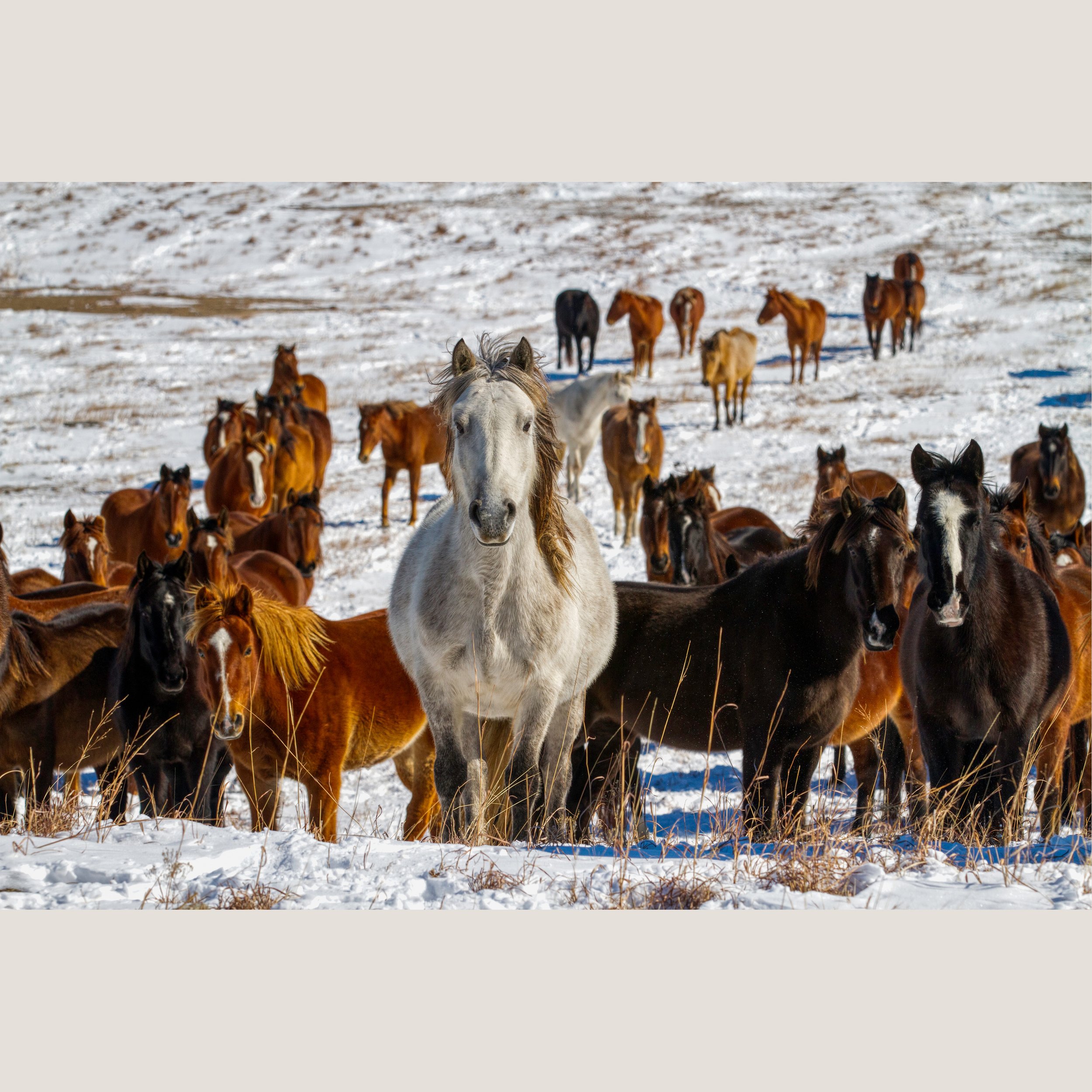 _MG_7719_AuroraHDR2019-edit.jpg