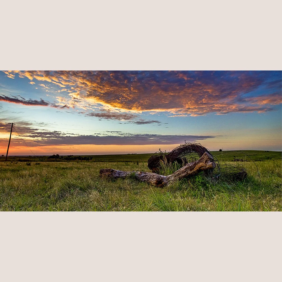 TWP-0023 YESTERDAYS FENCE copy.jpg