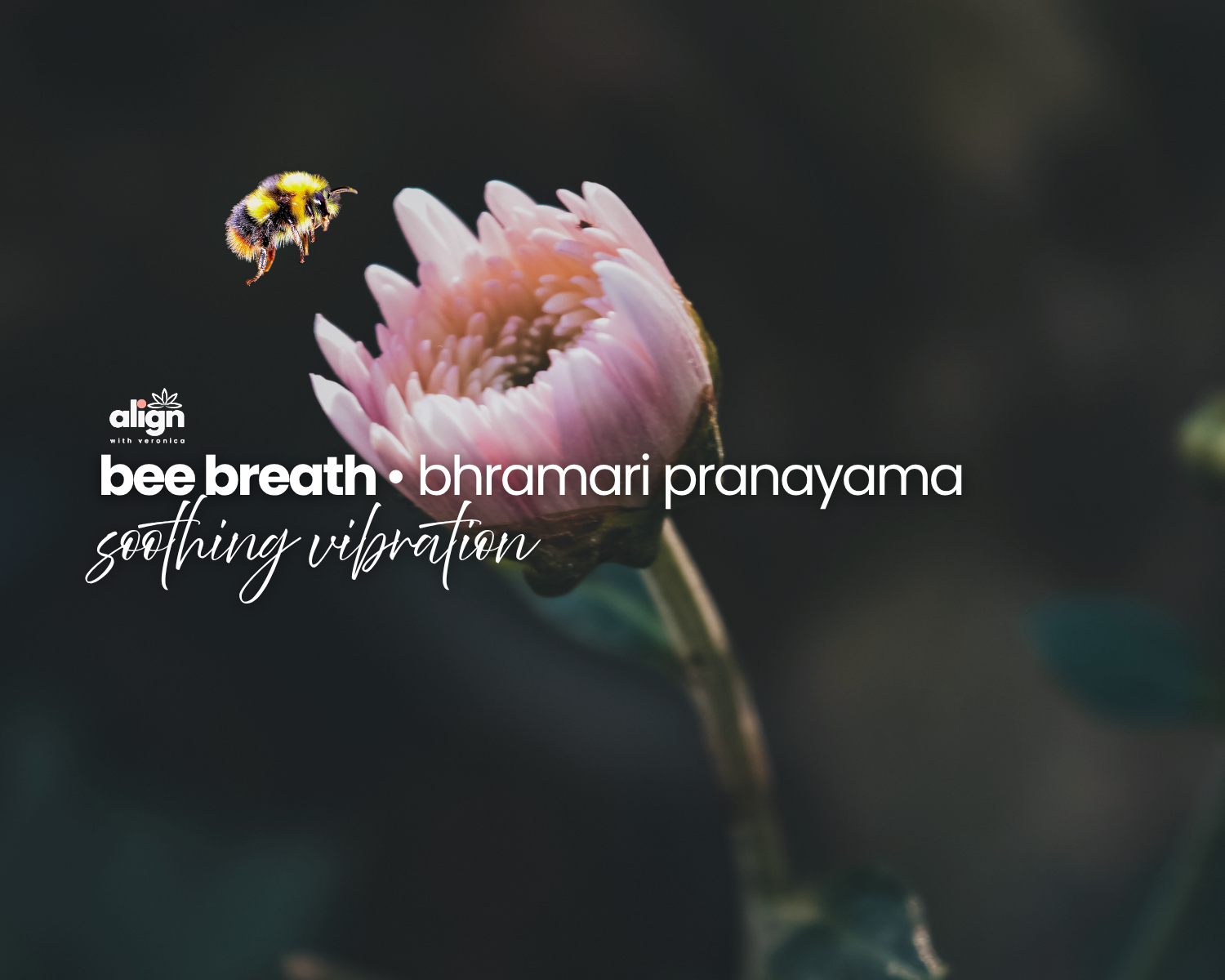 Bee Breath 