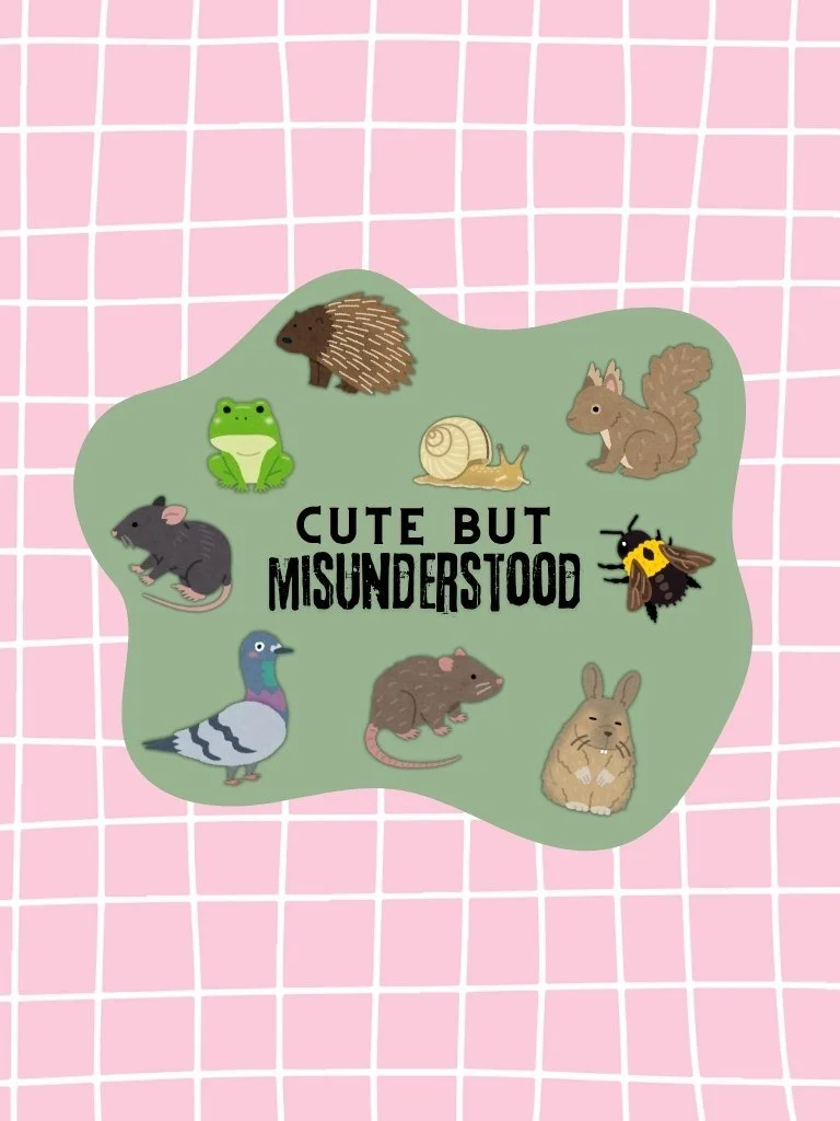 Misunderstood Animals Sticker - Vinyl Sticker For Unloved Animals
