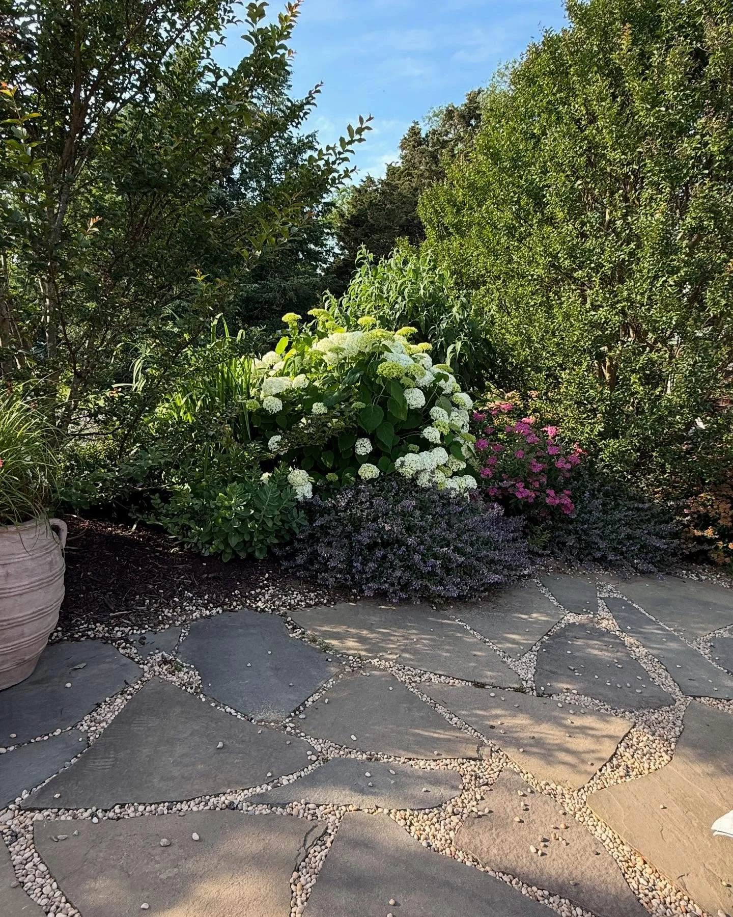 @croteauxvineyards continues to inspire me each time I visit it - from a vineyard+restaurant perspective and a garden perspective 👩&zwj;🌾 

As it turns out we may have a mini Gardeness (and photog) in the making - keep scrolling to see who actually