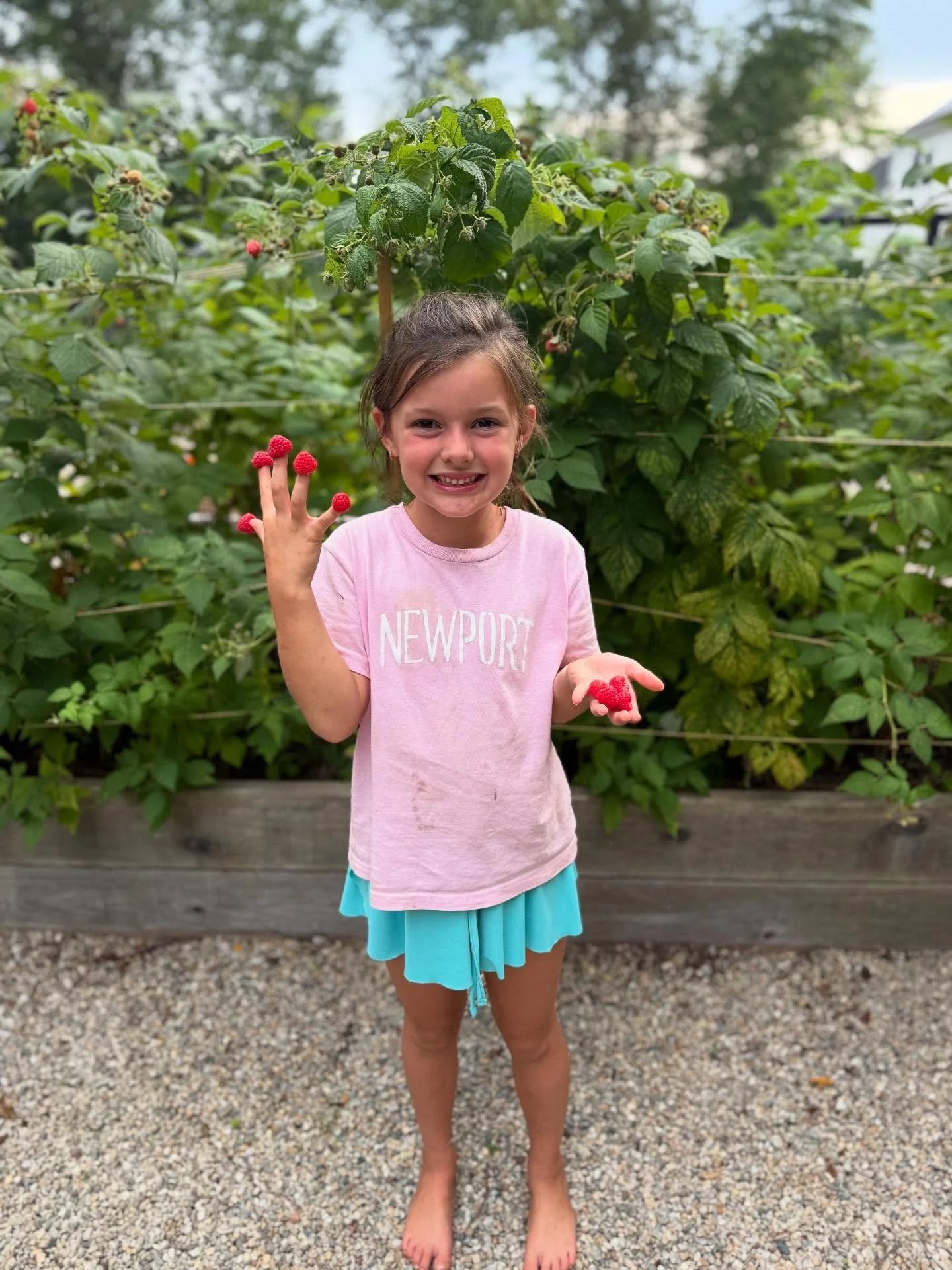 Raspberries for days (weeks/months) 🥰