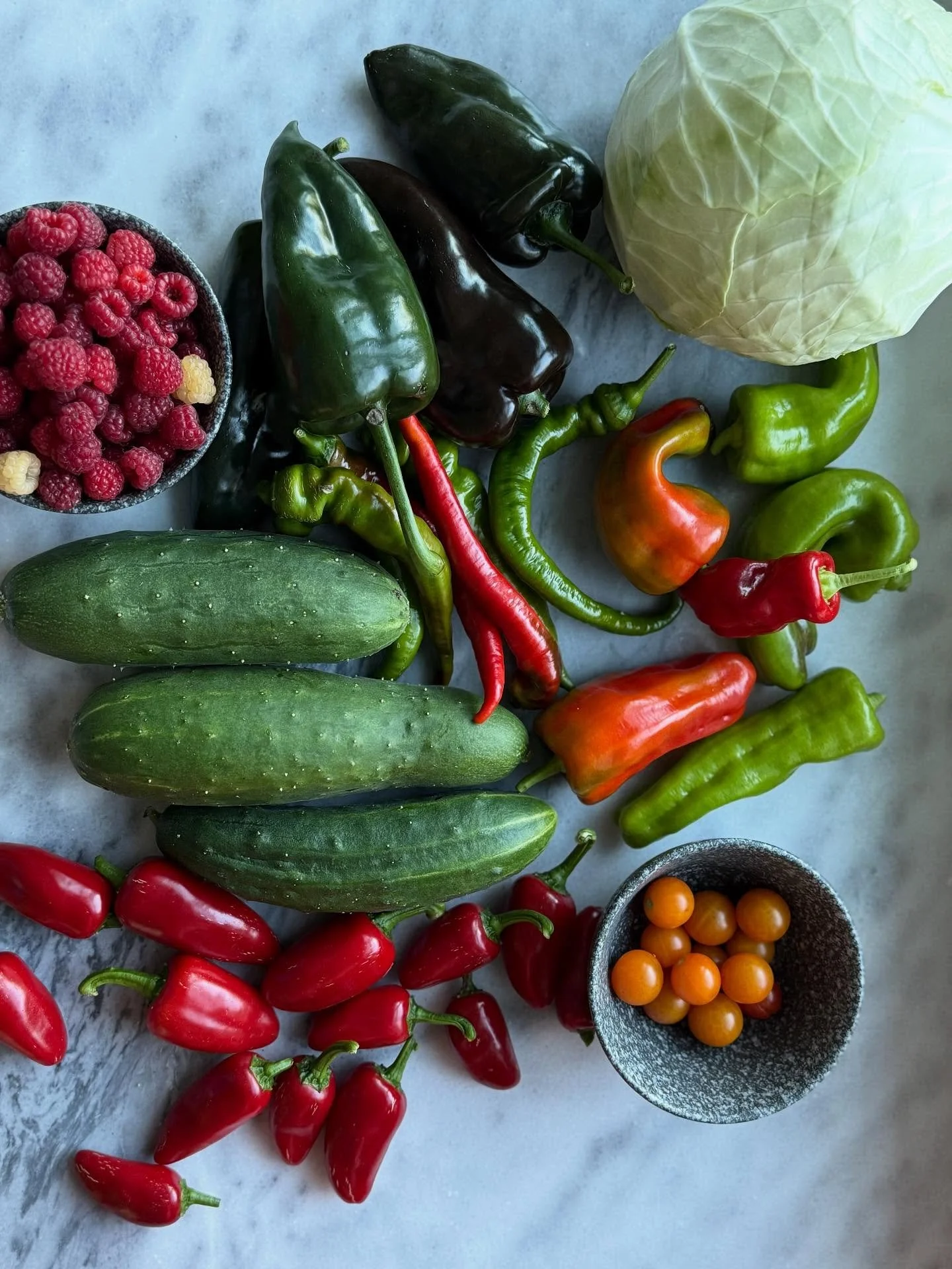 Fall planting season is about to begin with our clients (yay!!!) so garden time at home will start dwindling - getting a jump start on preserving these babies. Should I try to record myself doing some pickling???🤔