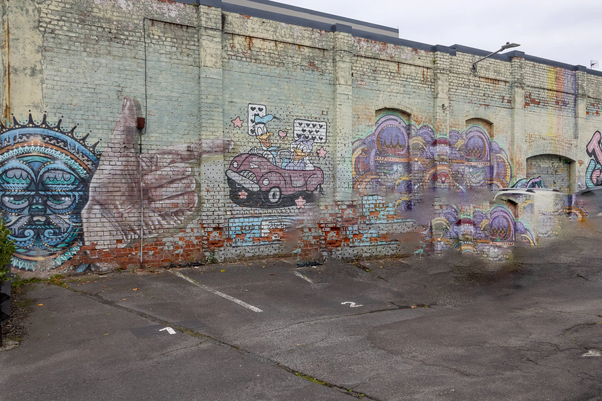 Graffiti Walk - Dunedin