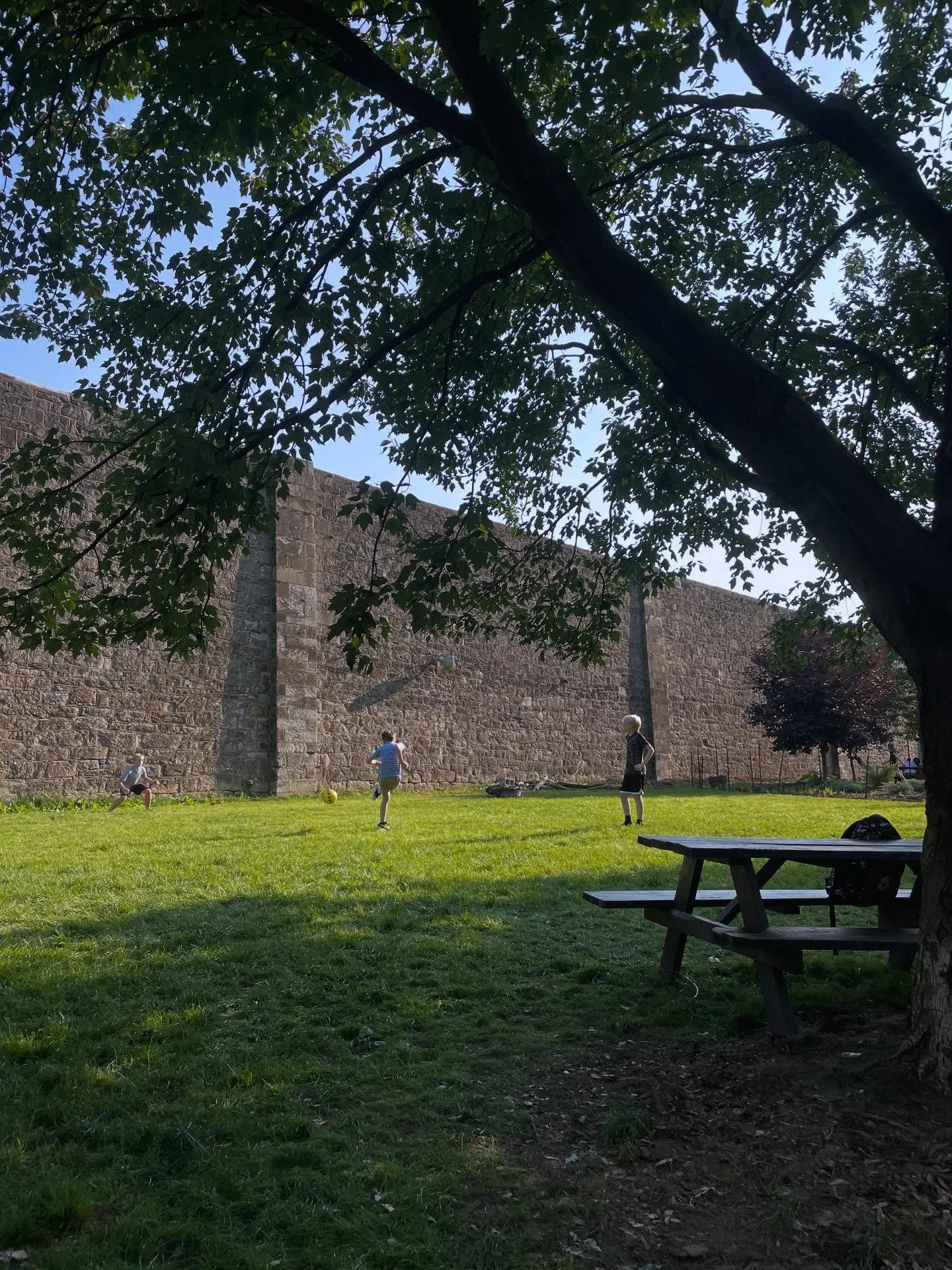 The lawn is OPEN!