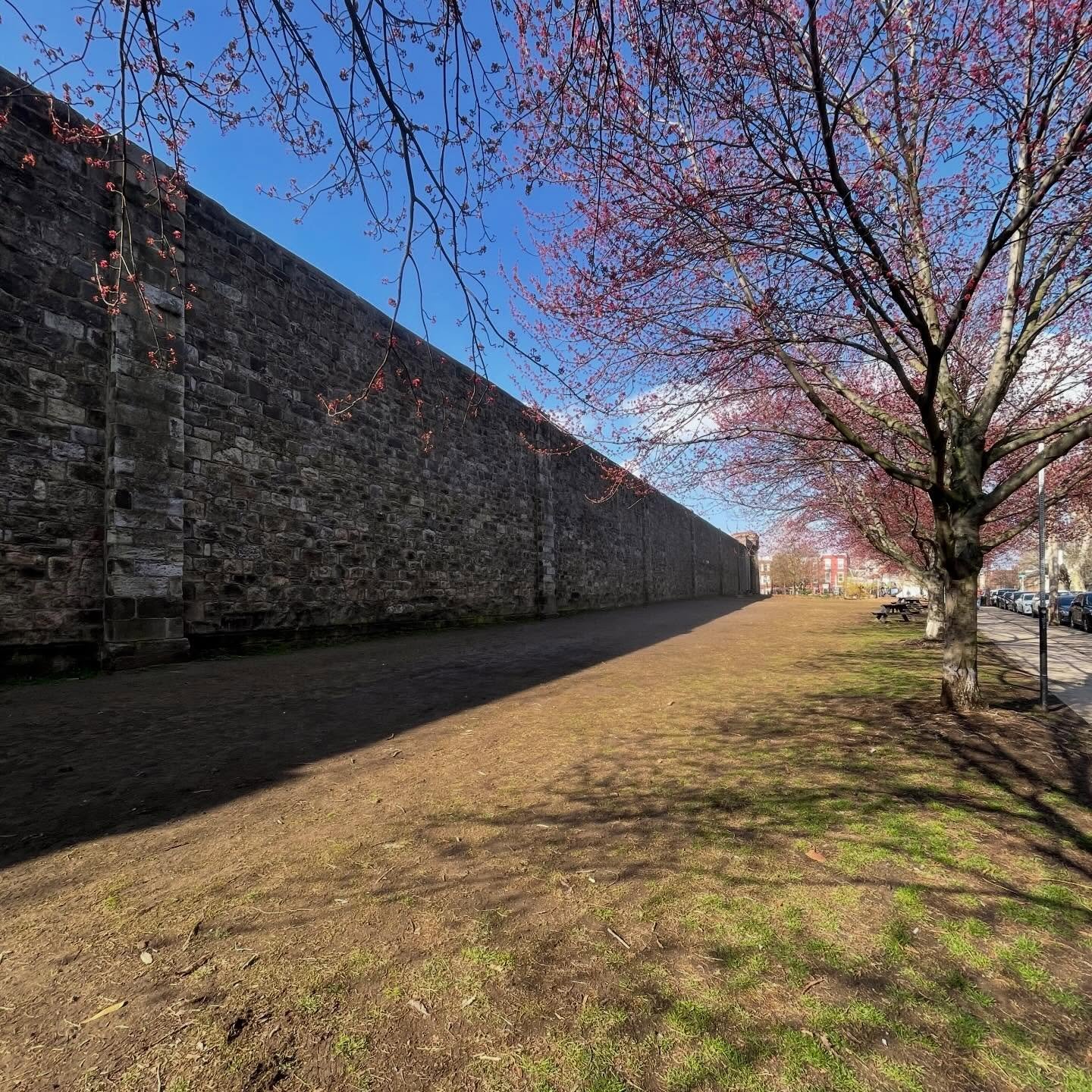 Spring reset, incoming 🌱

It&rsquo;s that time of year again, we&rsquo;ll be reseeding the lawn to get it ready for the season ahead. Work is scheduled for the first week of April, following the wall inspection with ESP, and we&rsquo;re aiming to re