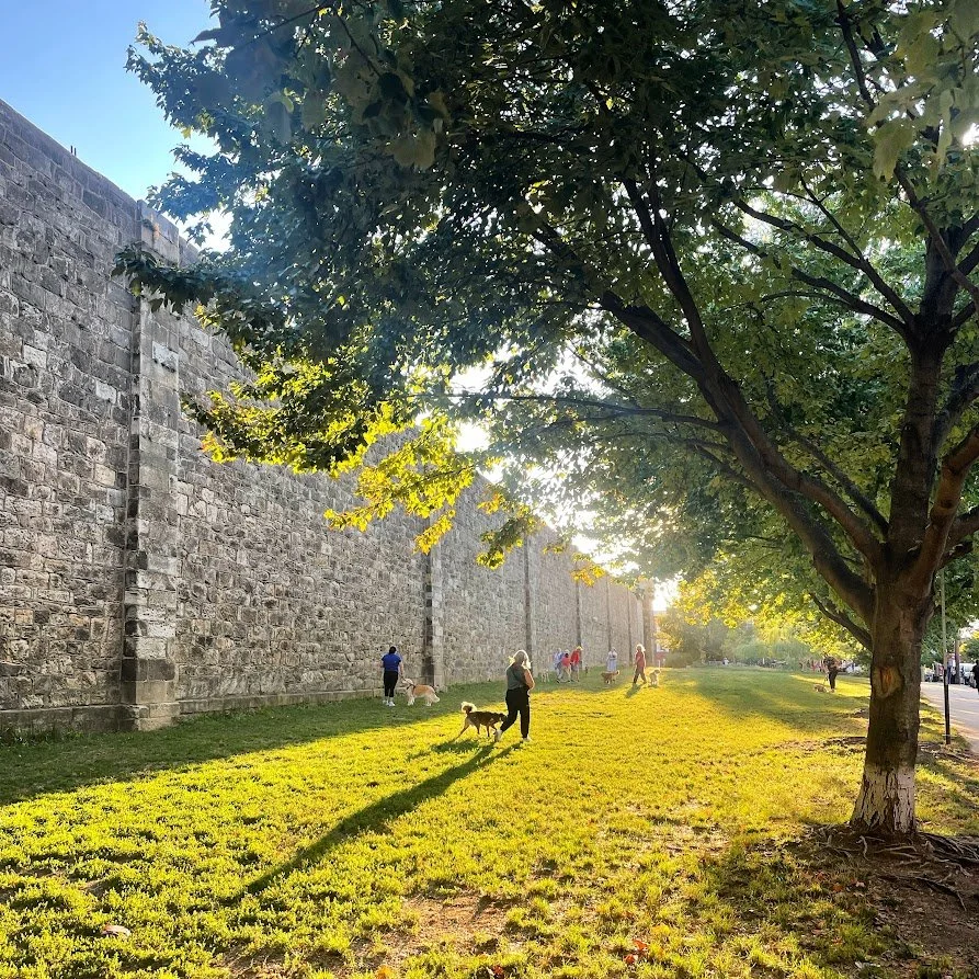 Friends of Eastern State Penitentiary Park (FESPP)