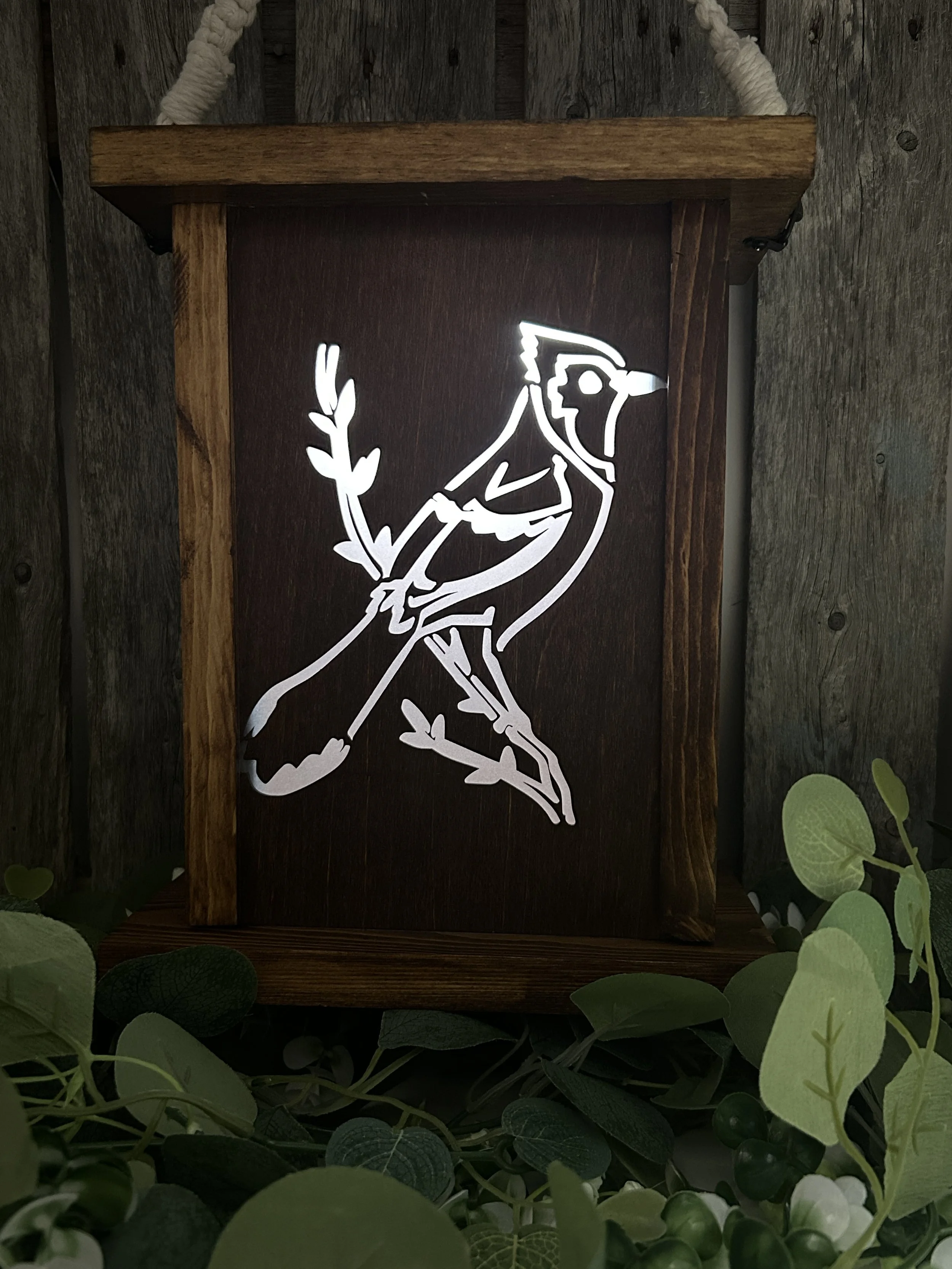 Solar - Blue Jay - Bird Feeder - Lantrern.JPG