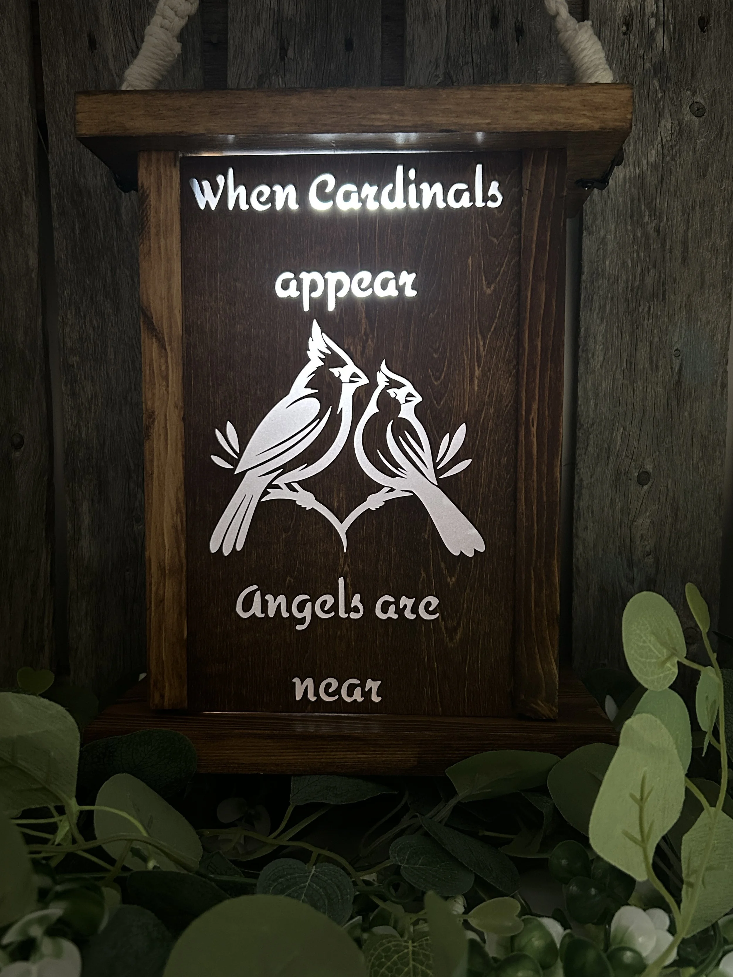 Cardinal - Solar - Bird Feeder - Lantern.JPG