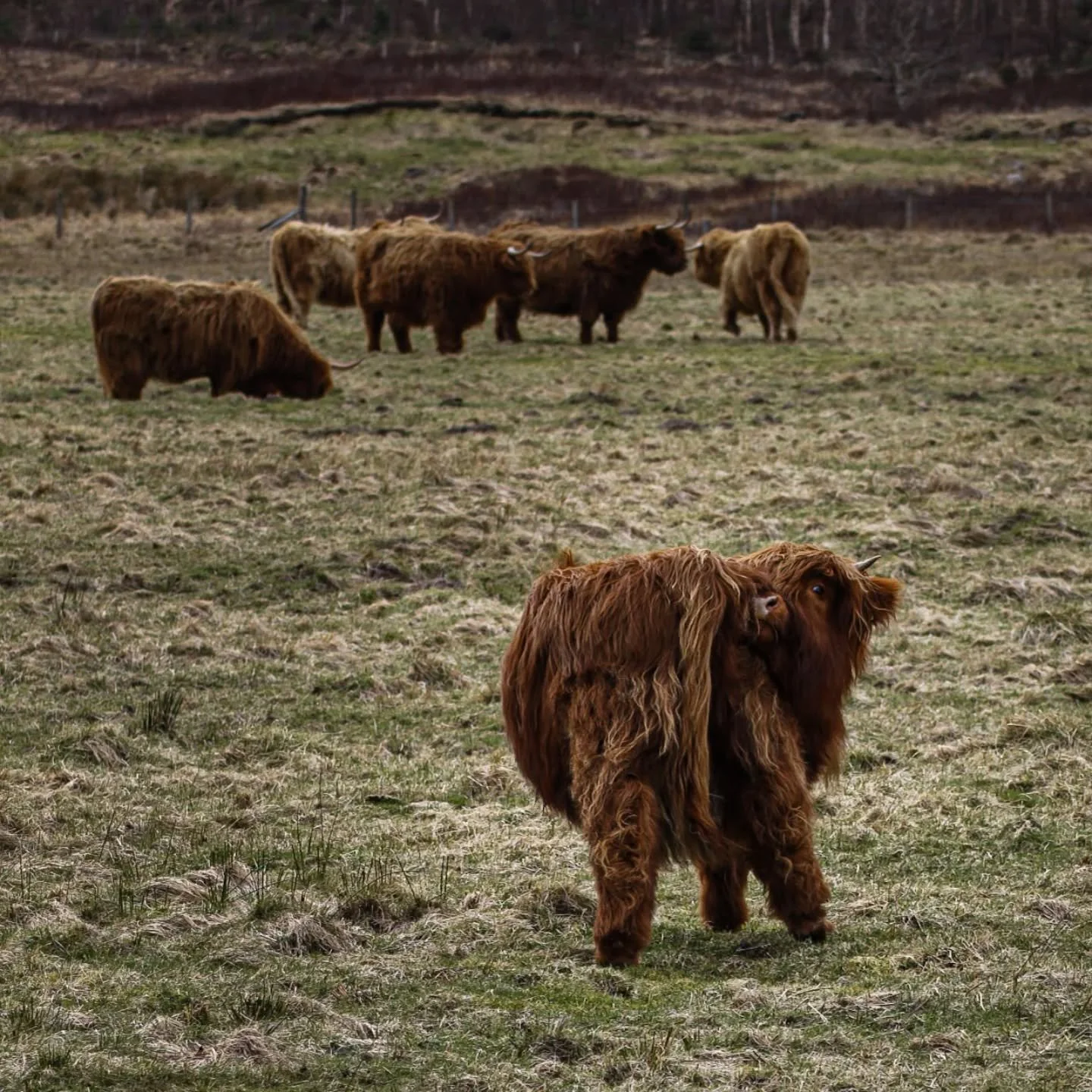 Pose like an insta girl ✌️