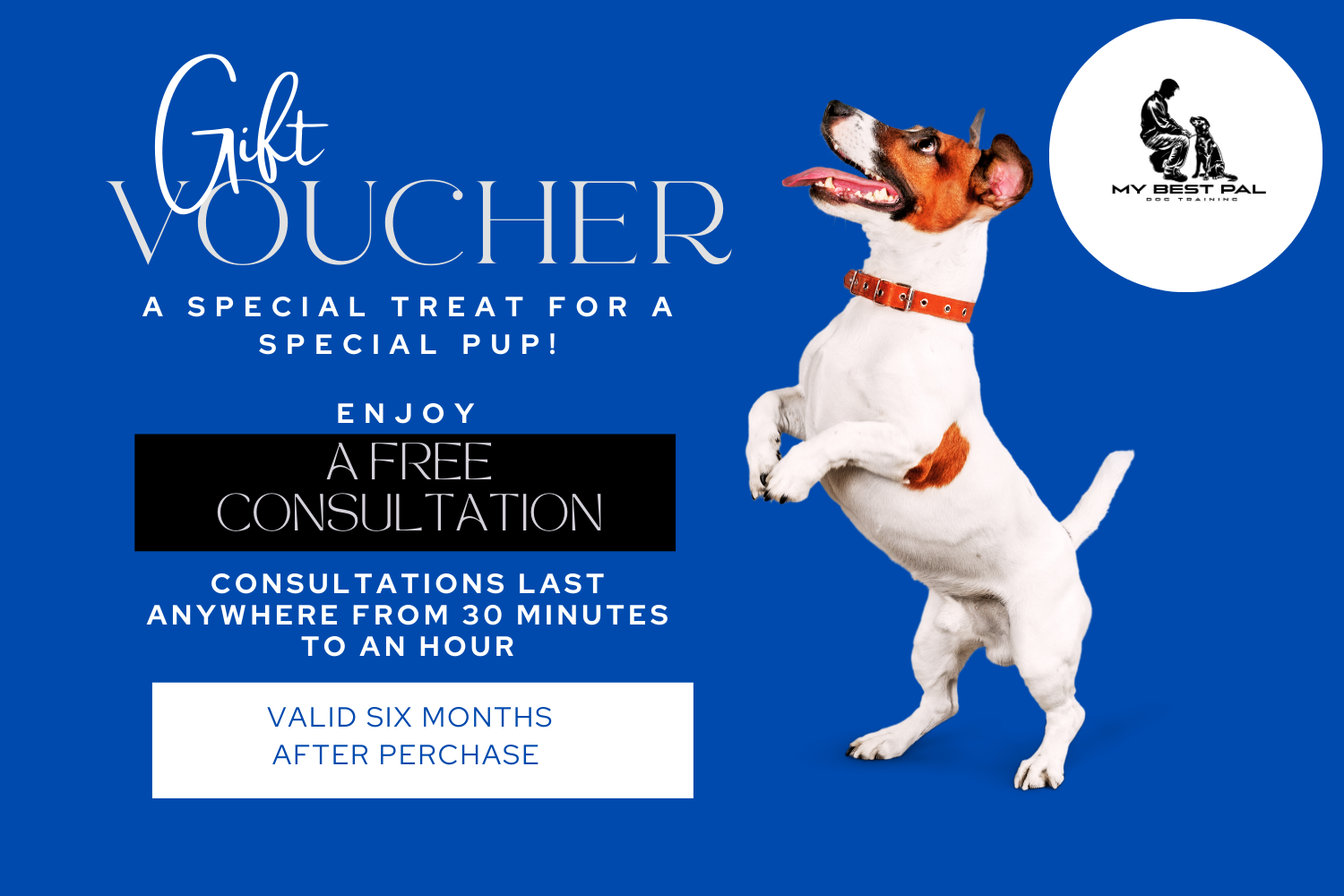 White and Red Minimalist Dog Salon Gift Certificate (1500 x 1000 px) (1500 x 1000 px).png