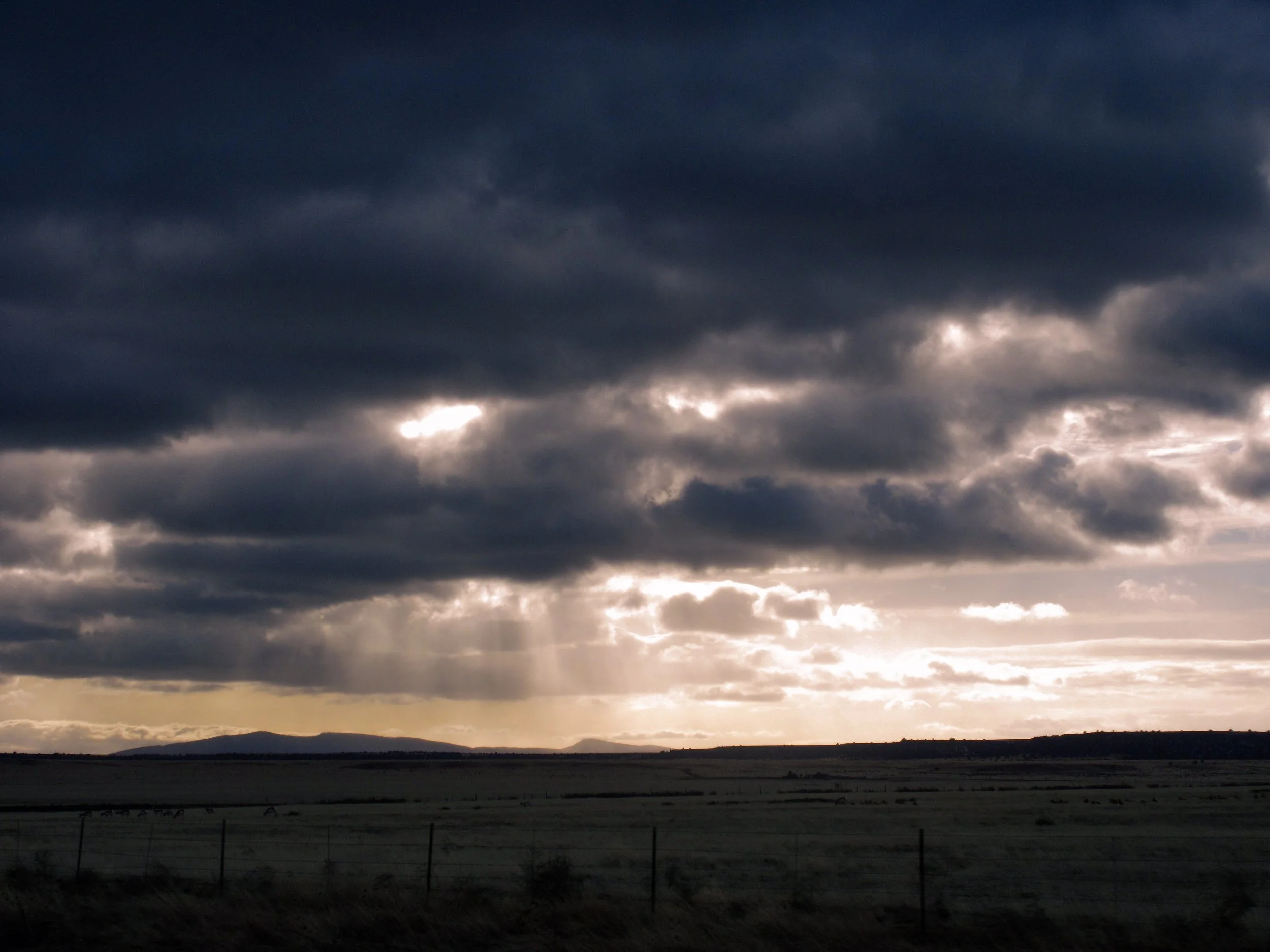 IMG_3928edit copy.jpg