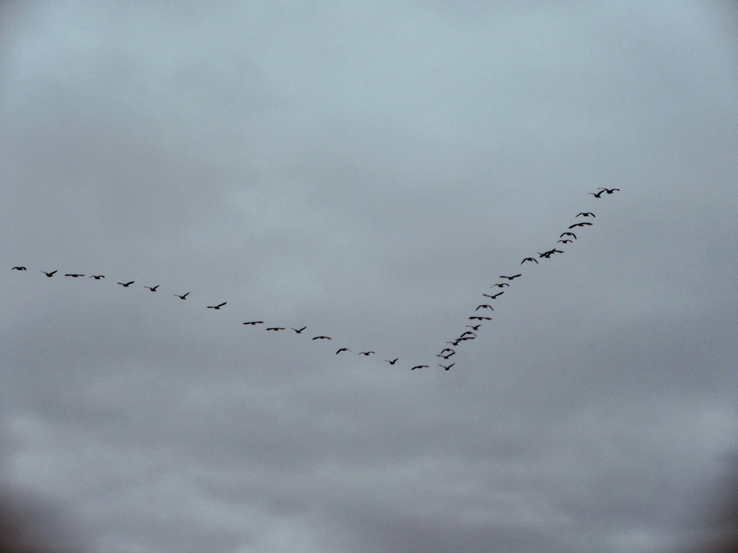 IMG_3604edit copy.jpg