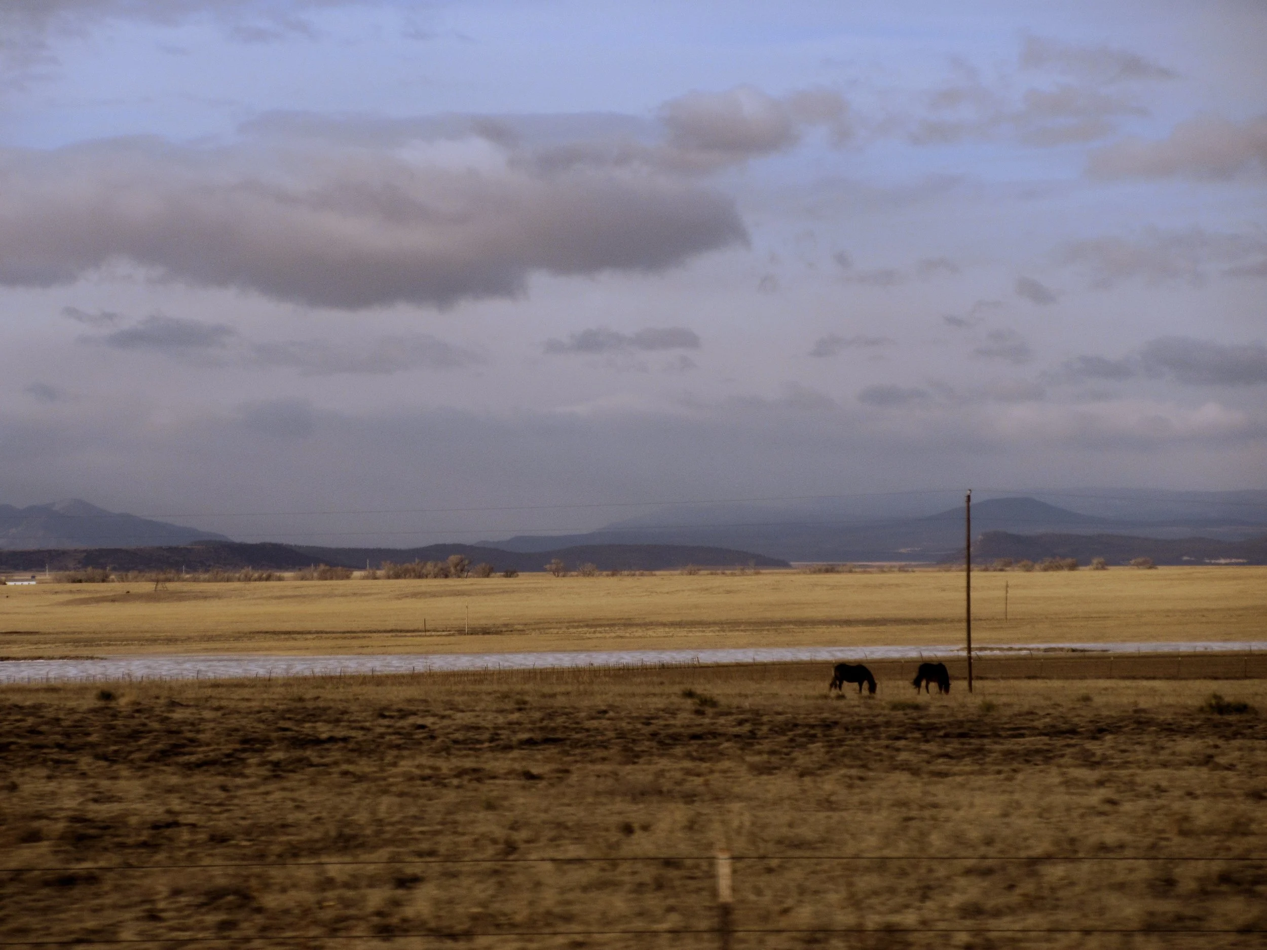 IMG_3947edit copy.jpg