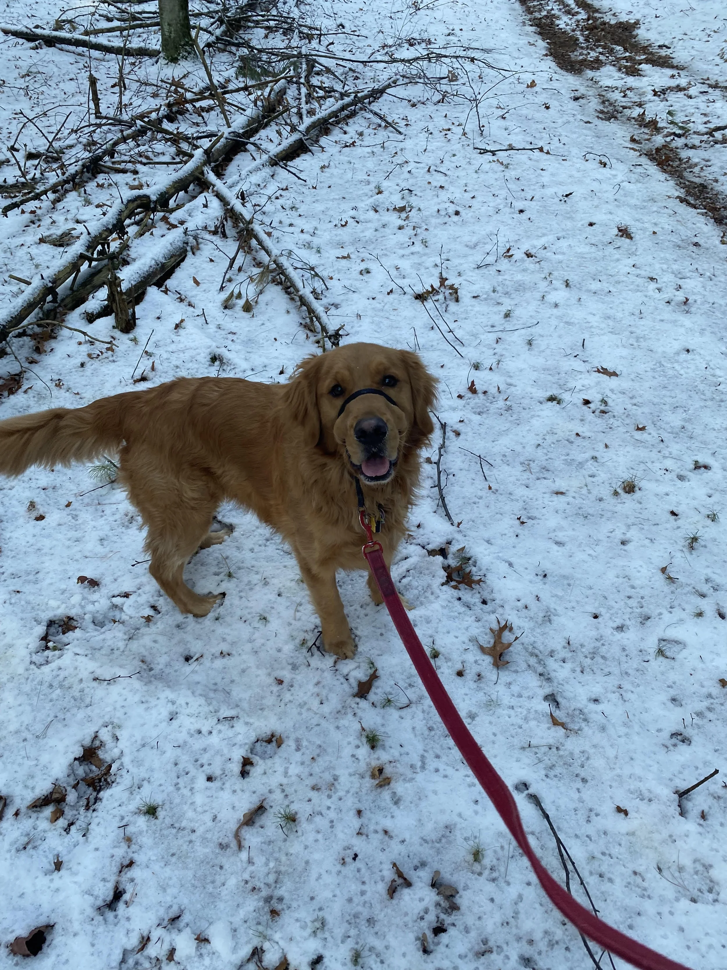 12.7.2025 unnamed (7).jpg