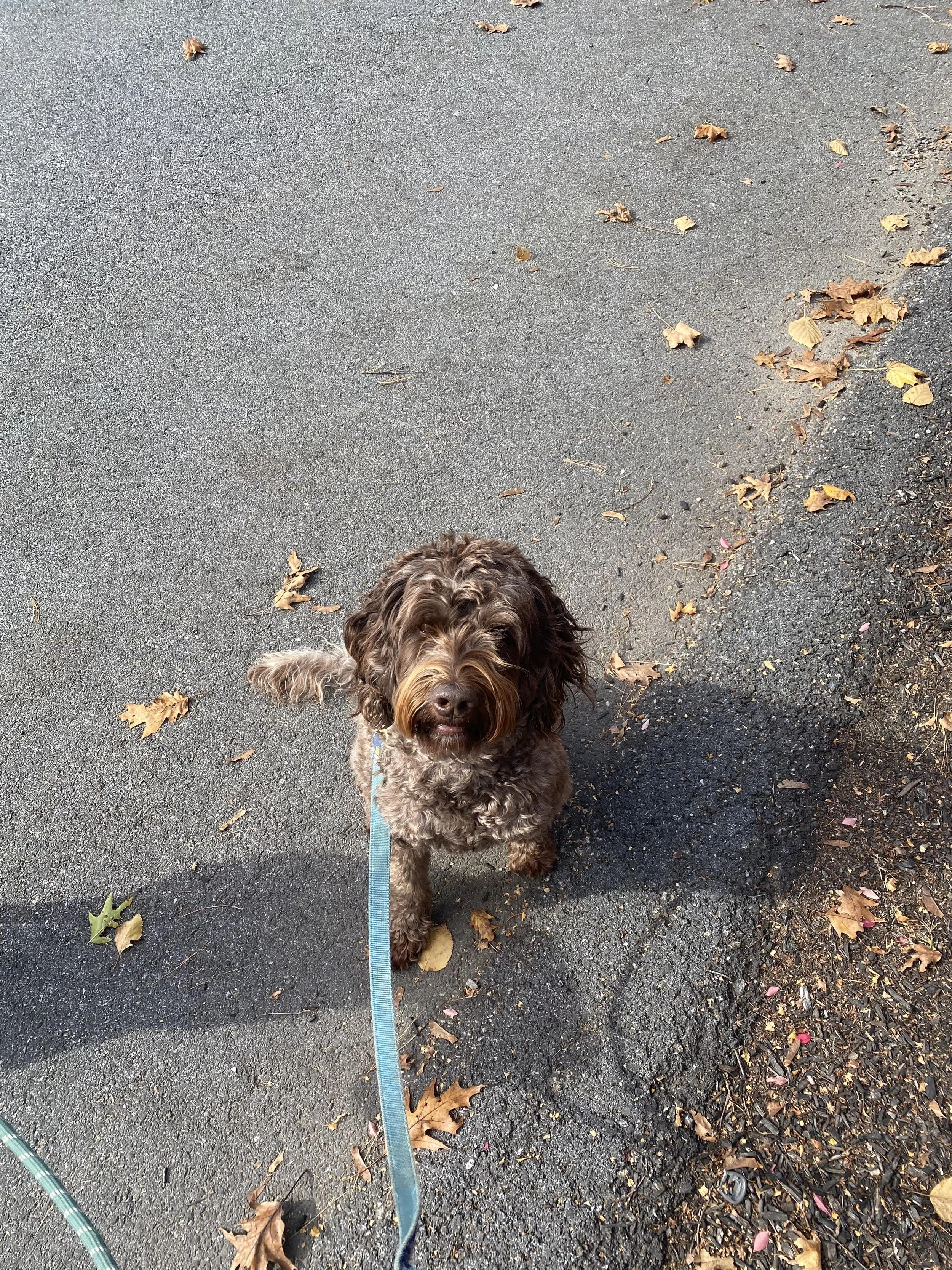 12.7.2025 unnamed (5).jpg