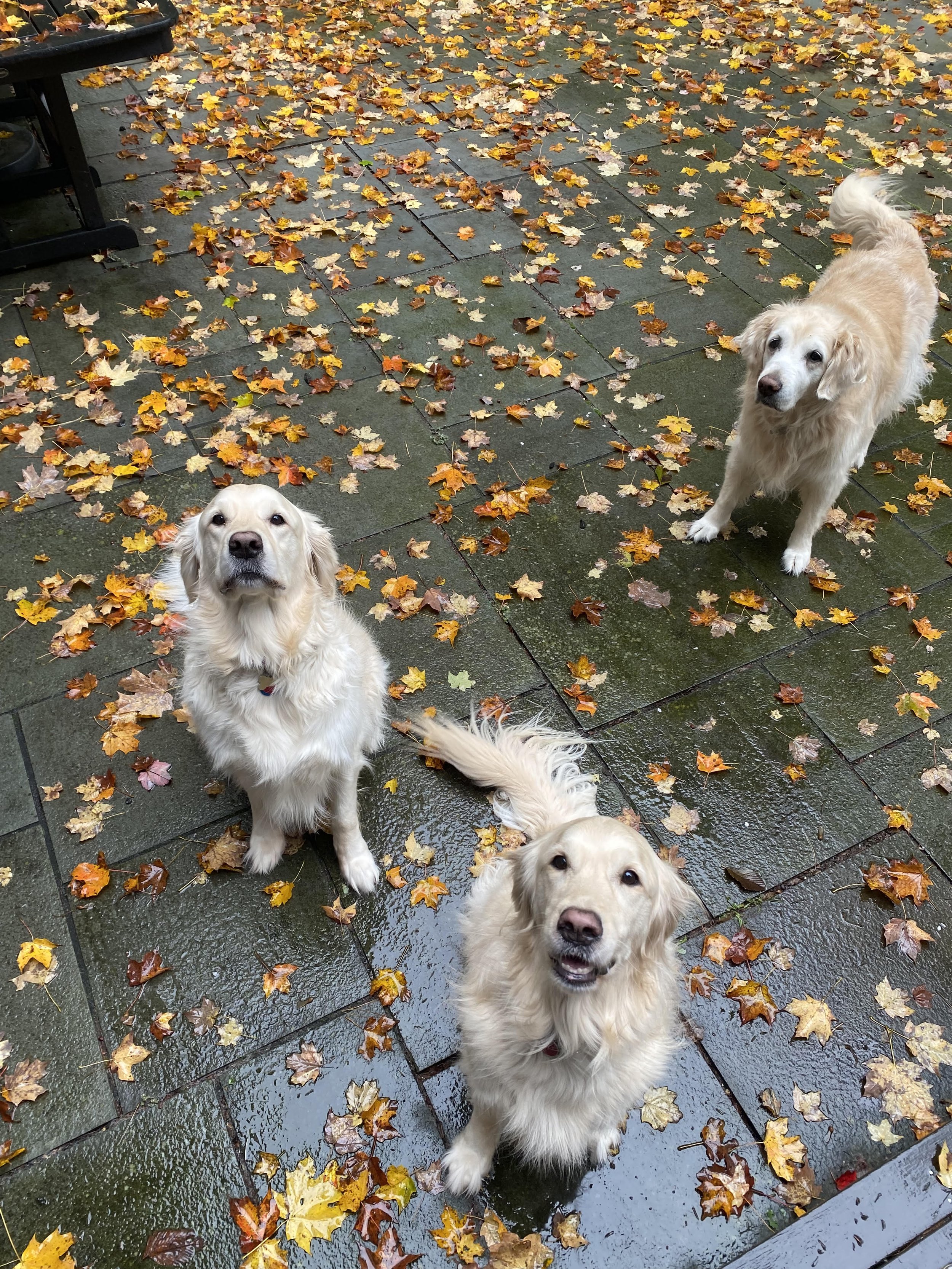 12.7.2025 unnamed (6).jpg