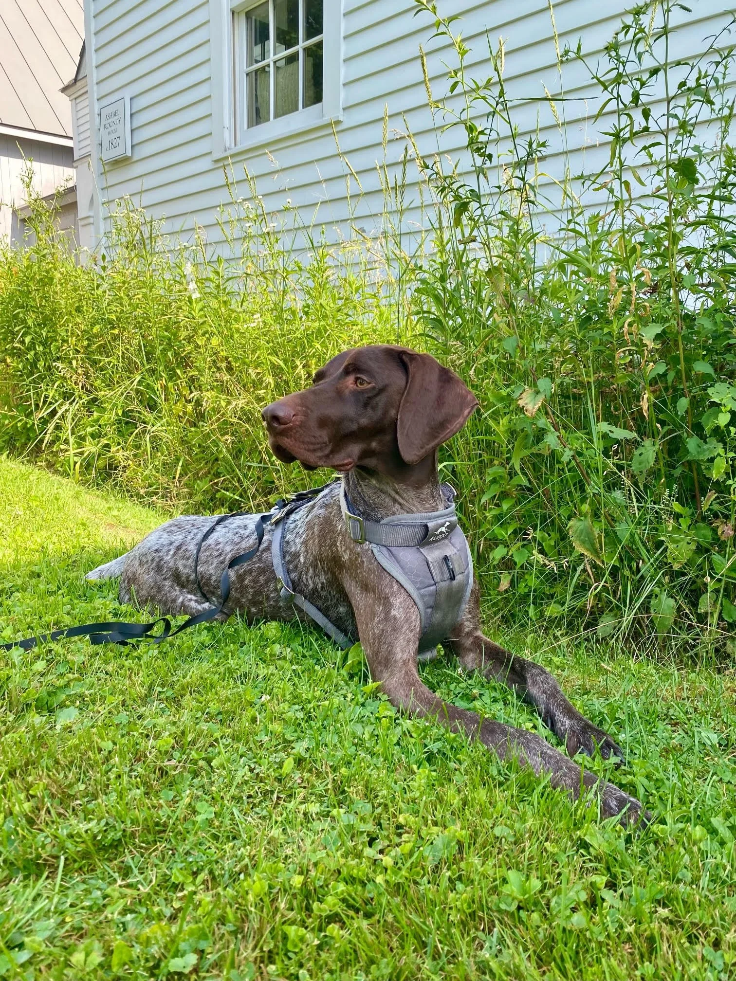 12.7.2025 unnamed (1).jpg