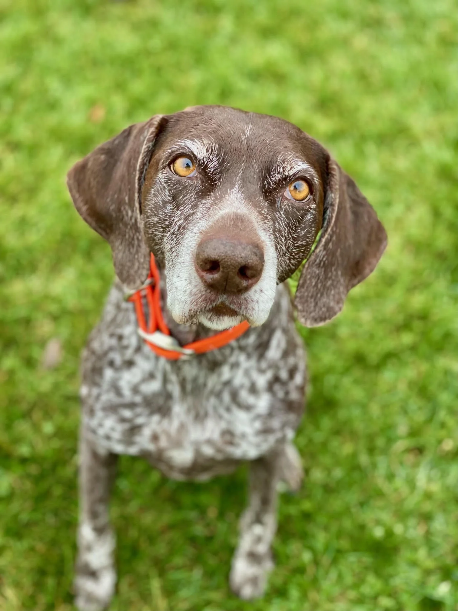 12.7.2025 unnamed (8).jpg