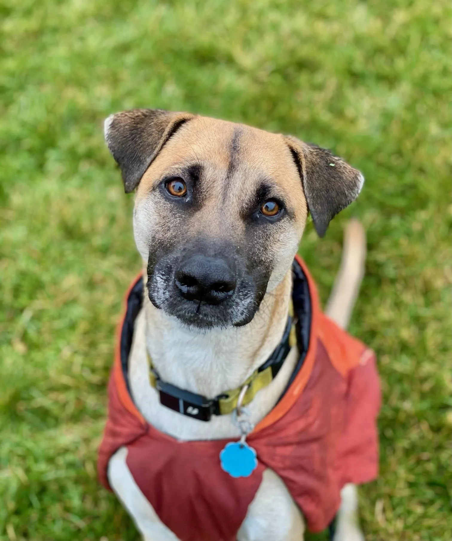 12.7.2025 unnamed (3).jpg