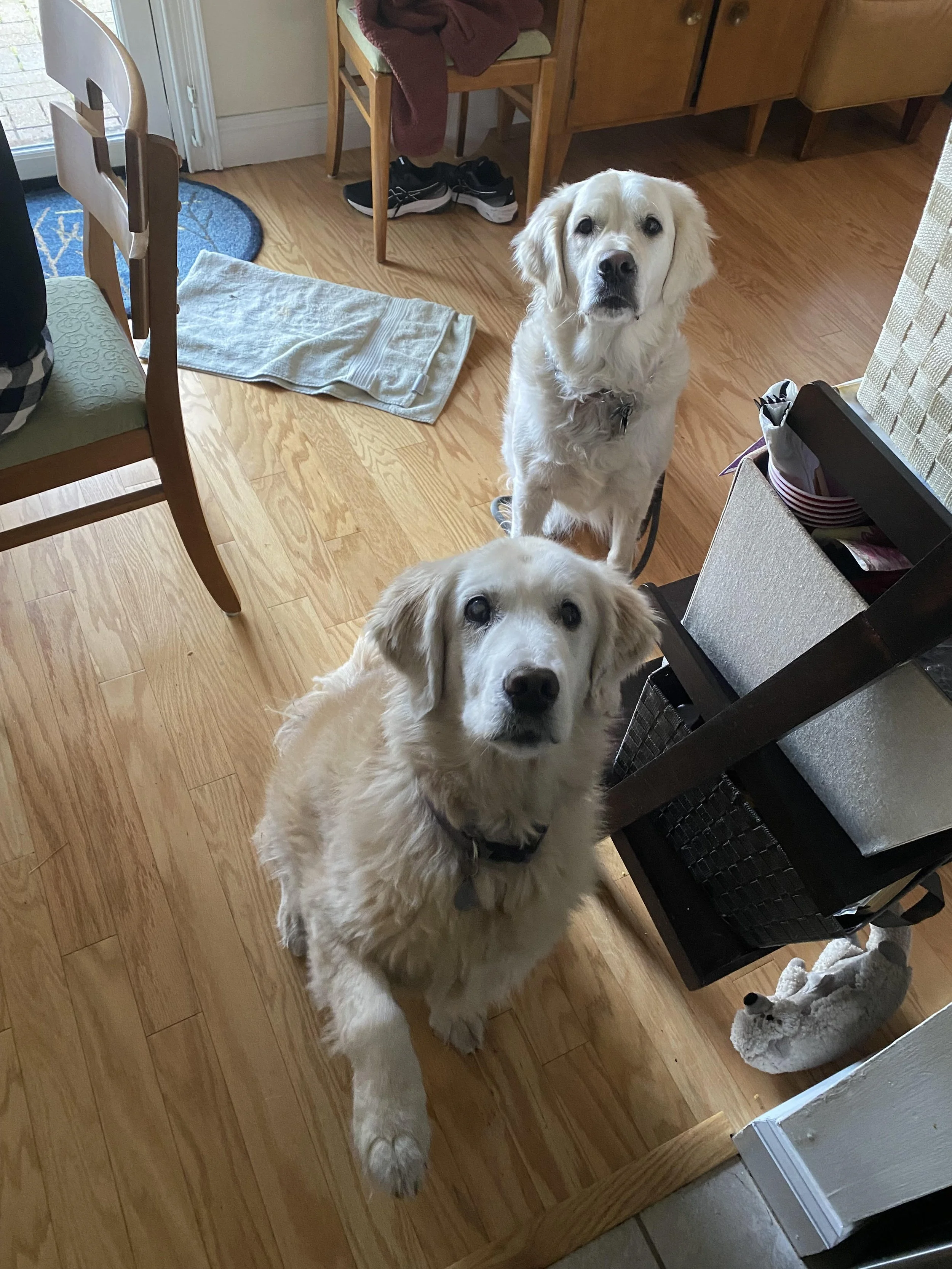 12.7.2025 unnamed (4).jpg