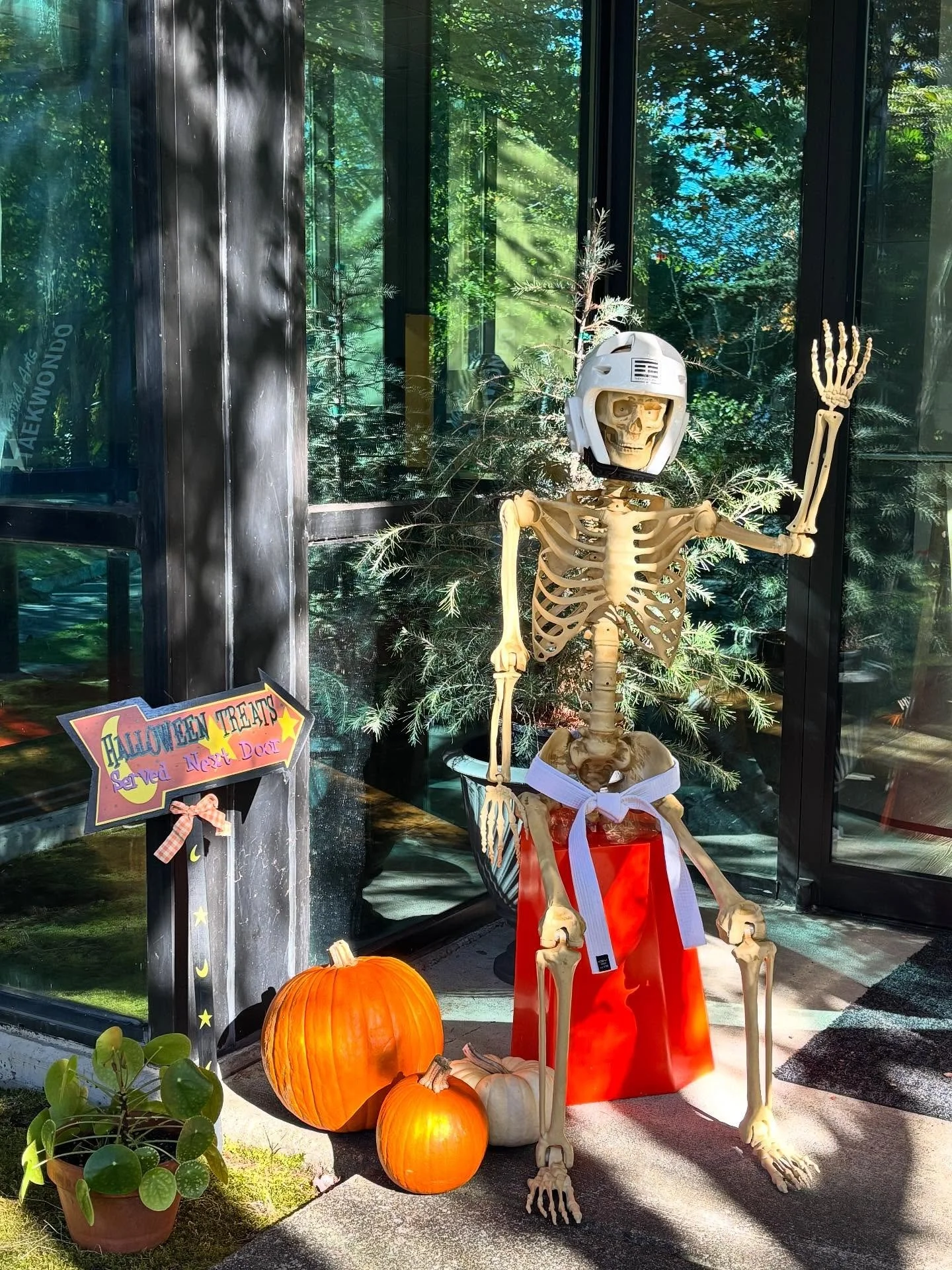 The smell of fall is in the air, and Halloween is just around the corner! 🎃
Let’s welcome our new white belt friend!
Make sure to give him a high five when you see him in the studio (but careful, you don’t want to break any bones!) 💀👋