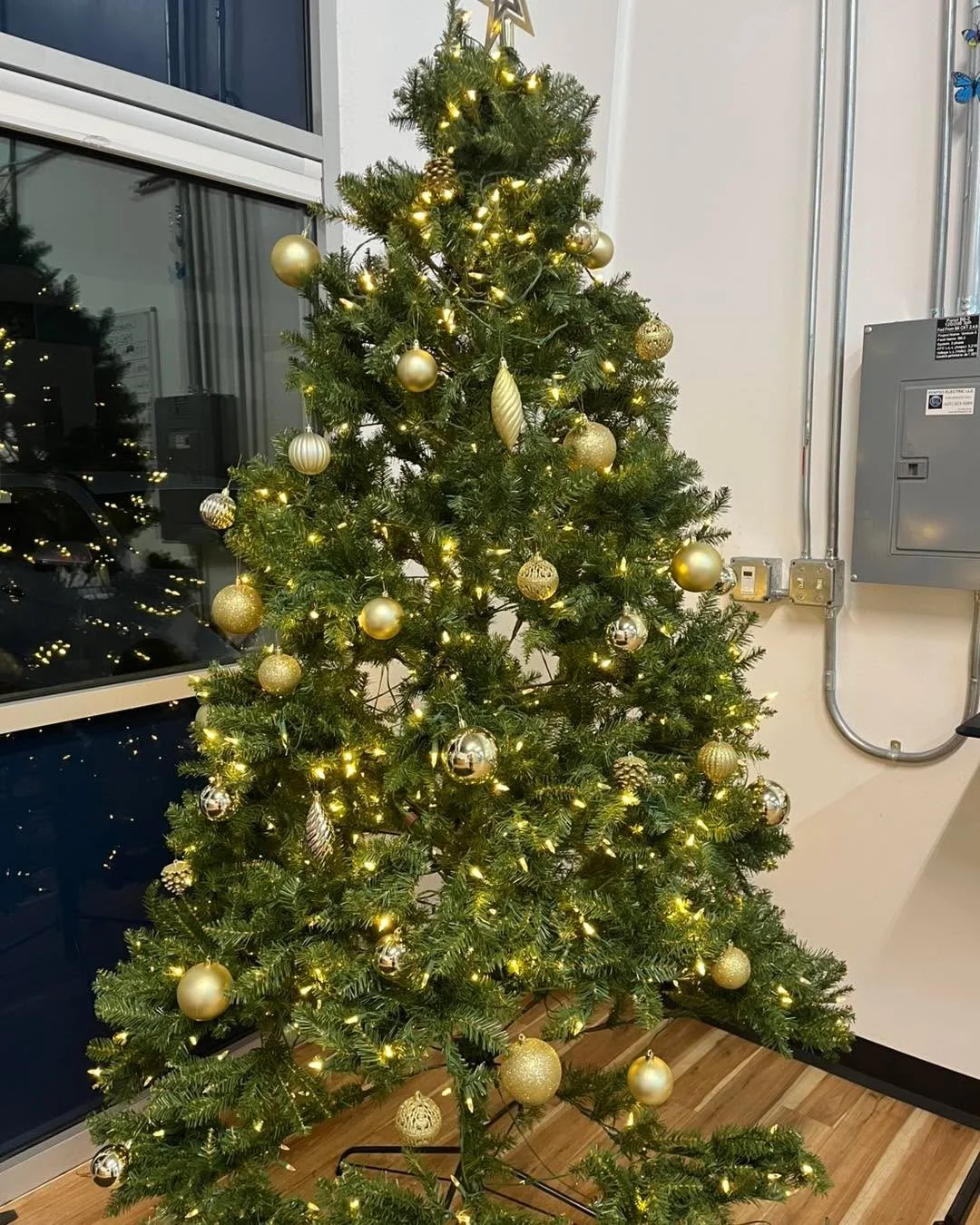 Happy Holidays to all of our Taekwondo Family! We hope you all had a wonderful thanksgiving break and got lots of rest. We are open again and have a Christmas sale going on! All of our gear is 20% off until 12/23! Perfect time to get an upgrade or a 