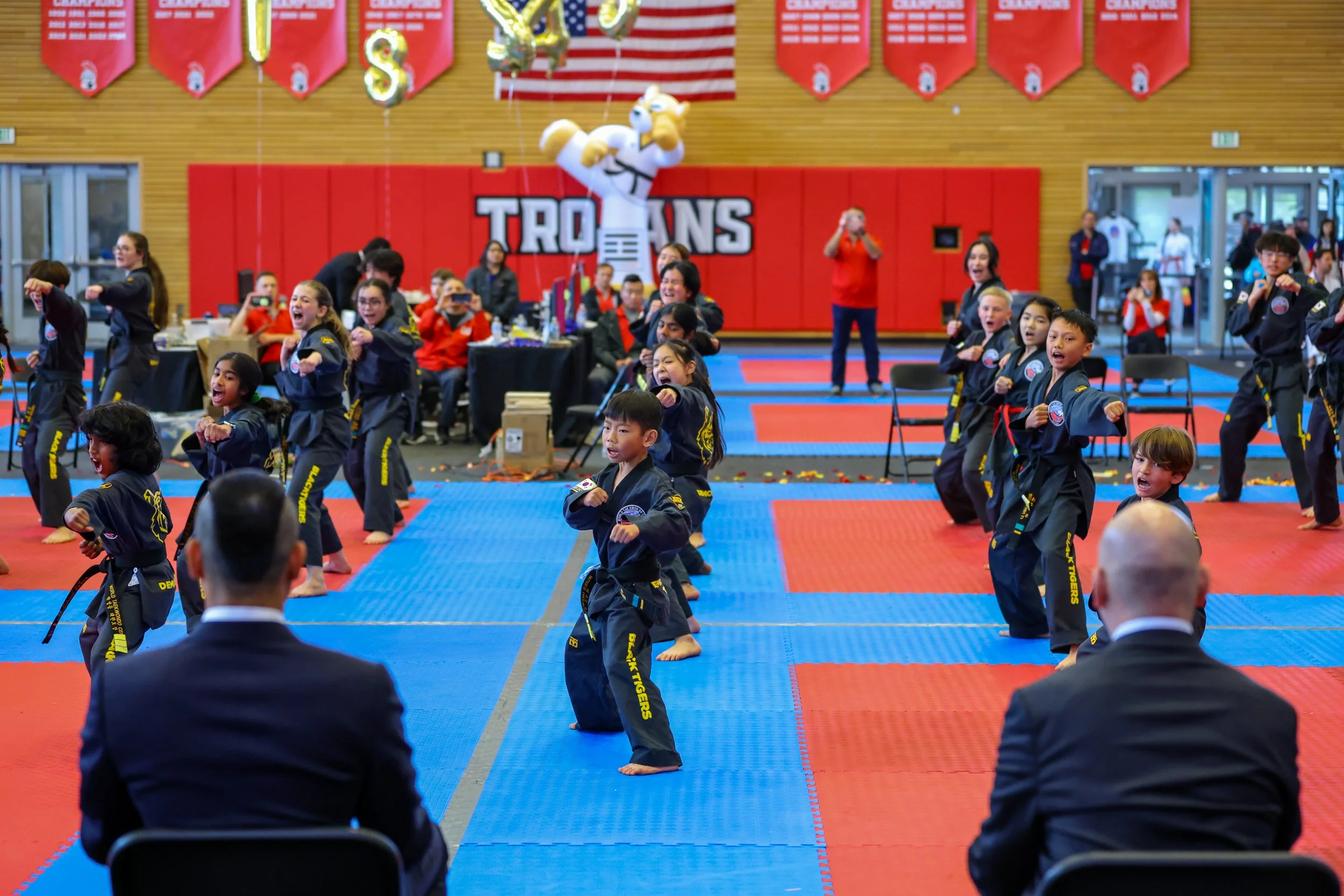 Taekwondo Demo Team Competition