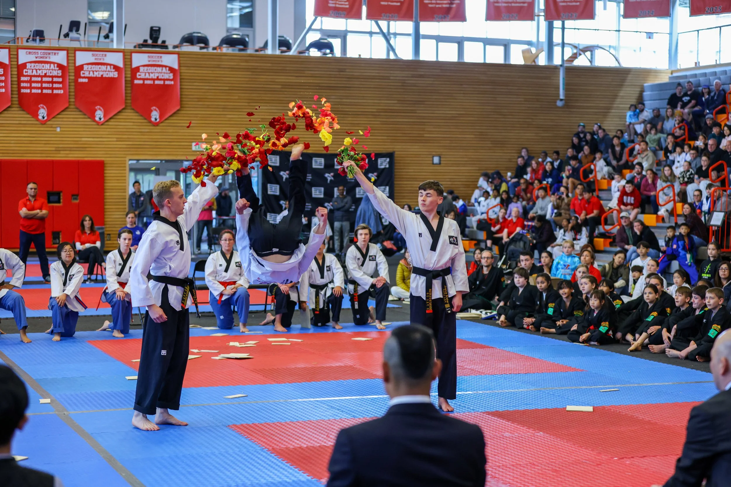 Taekwondo Demo Backflip