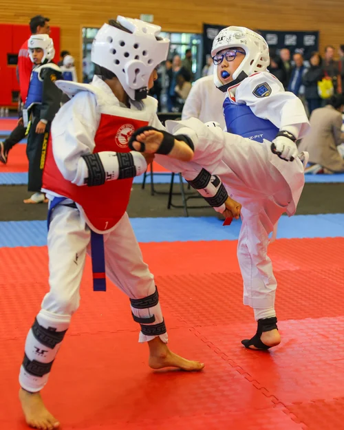 Taekwondo Way, business photo 6