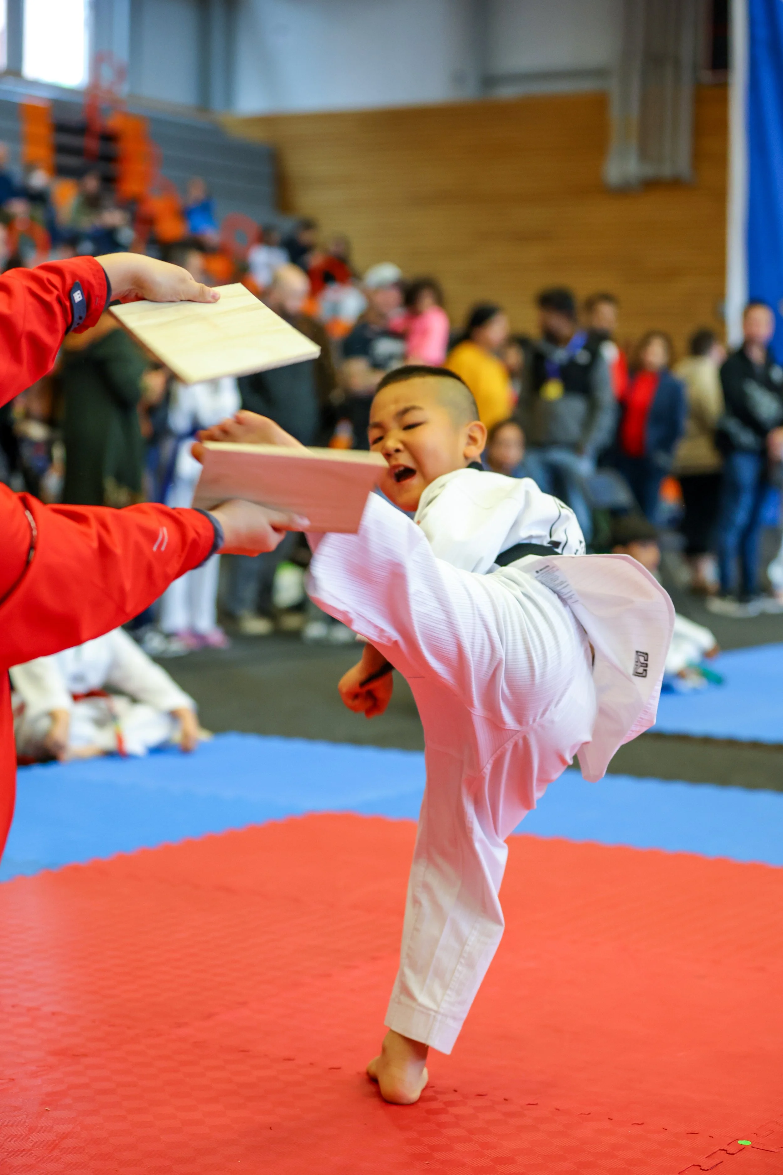 2024 NWTKD SPRING FESTIVAL-025.jpeg