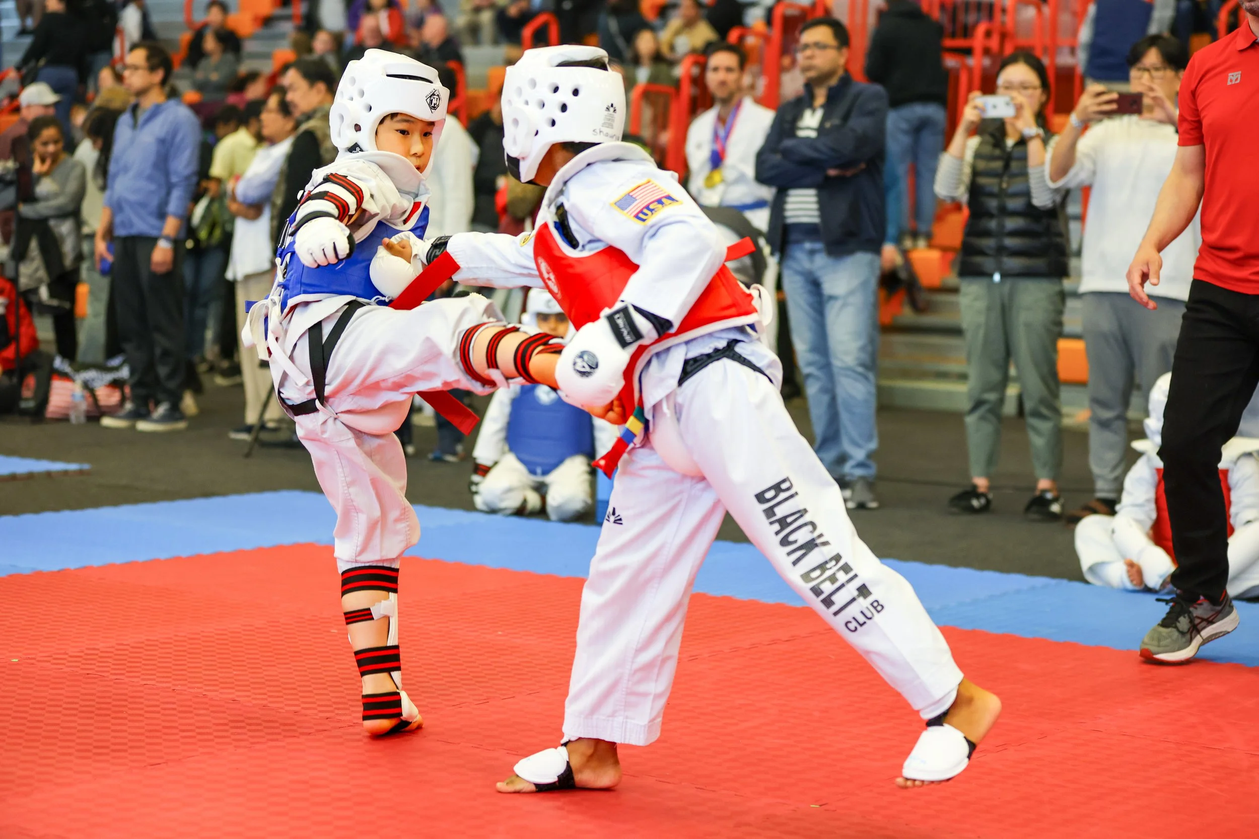 Taekwondo Festival Sparring