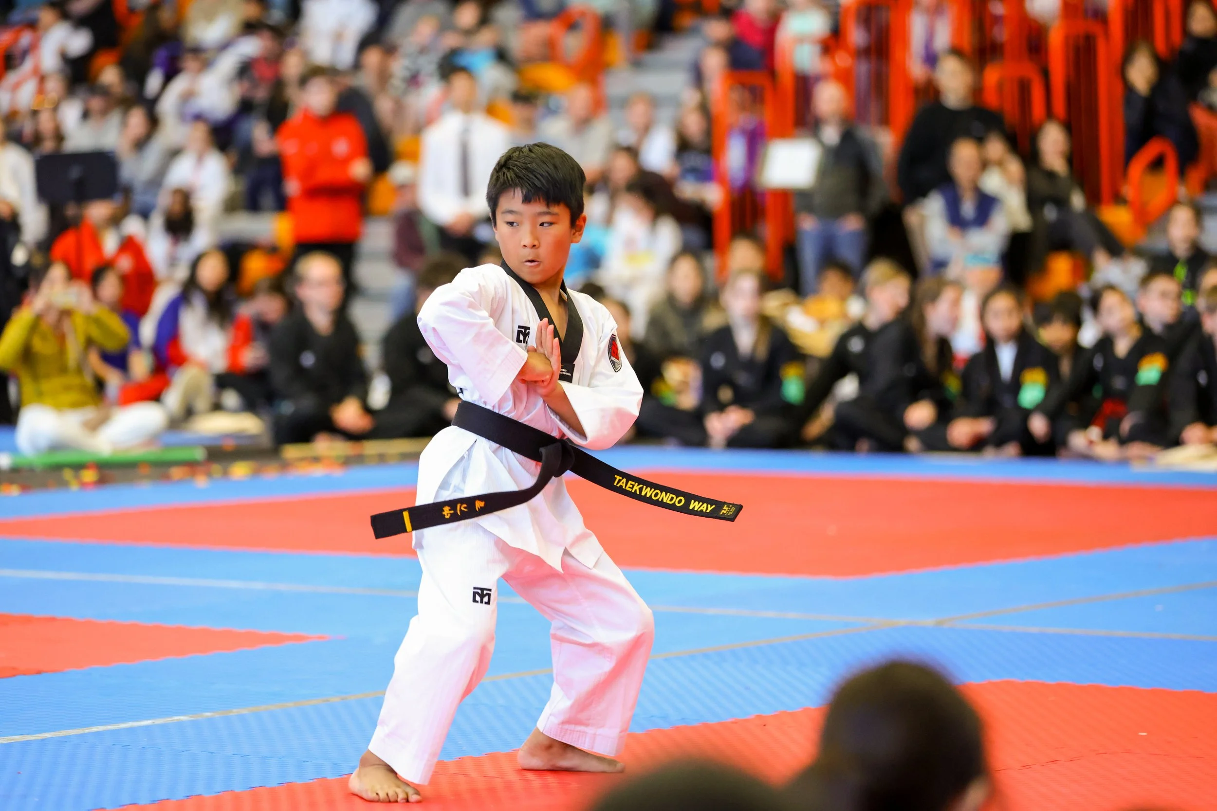 Black Belt Poomsae Championship