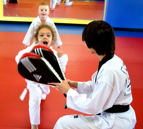 Taekwondo Way business photo
