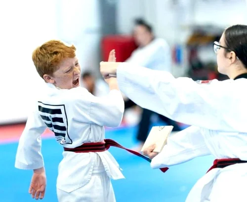 Taekwondo Way, business photo 2
