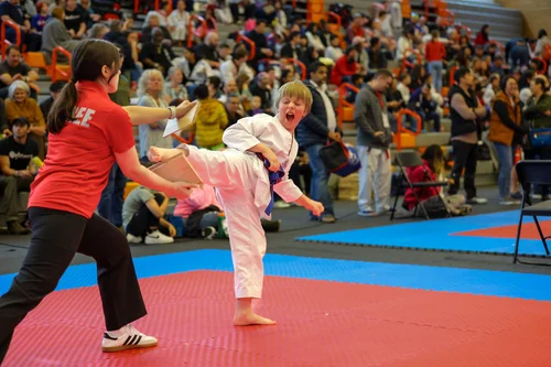 Taekwondo Way, business photo 5