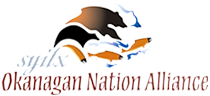 ONA-logo.png