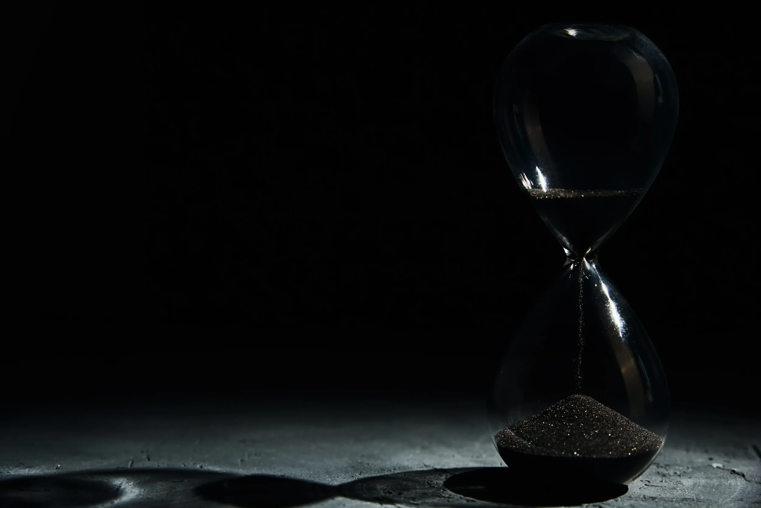 placene poradenstvi poplatkem ze zisku