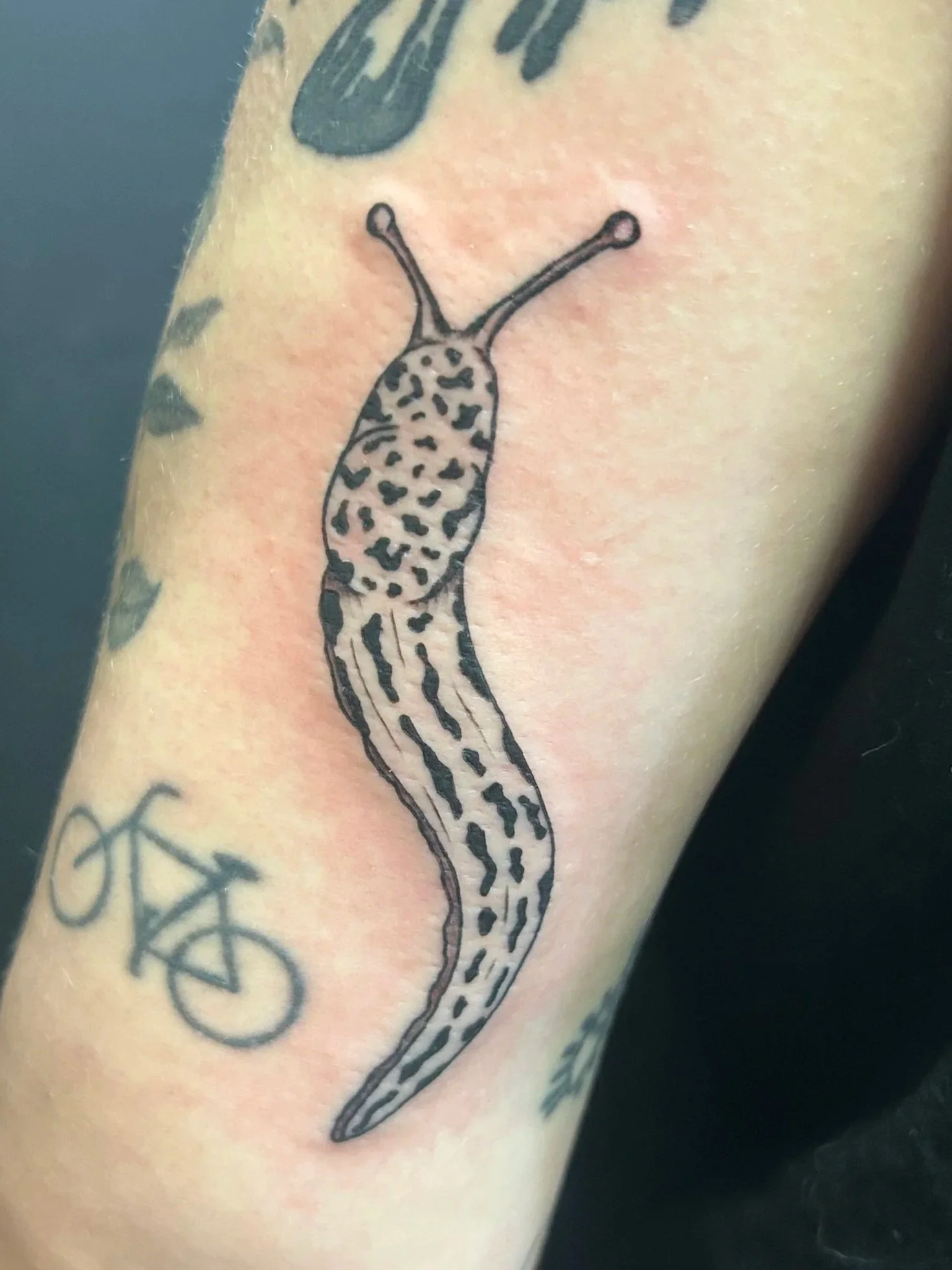 slug.jpg