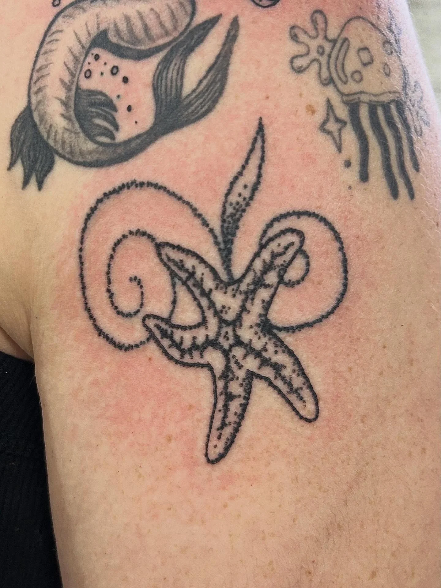 starfish.jpg