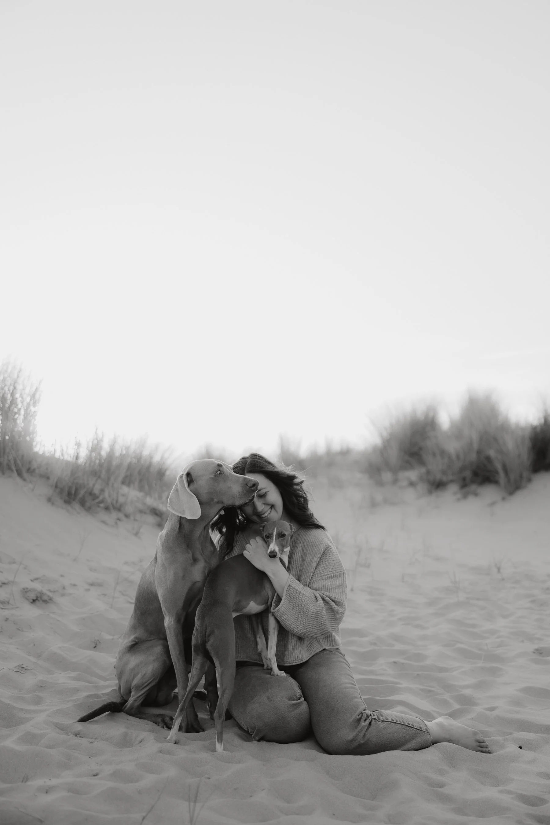 Hundefotoshooting in den Dünen von Zandvoort, Niederlande
