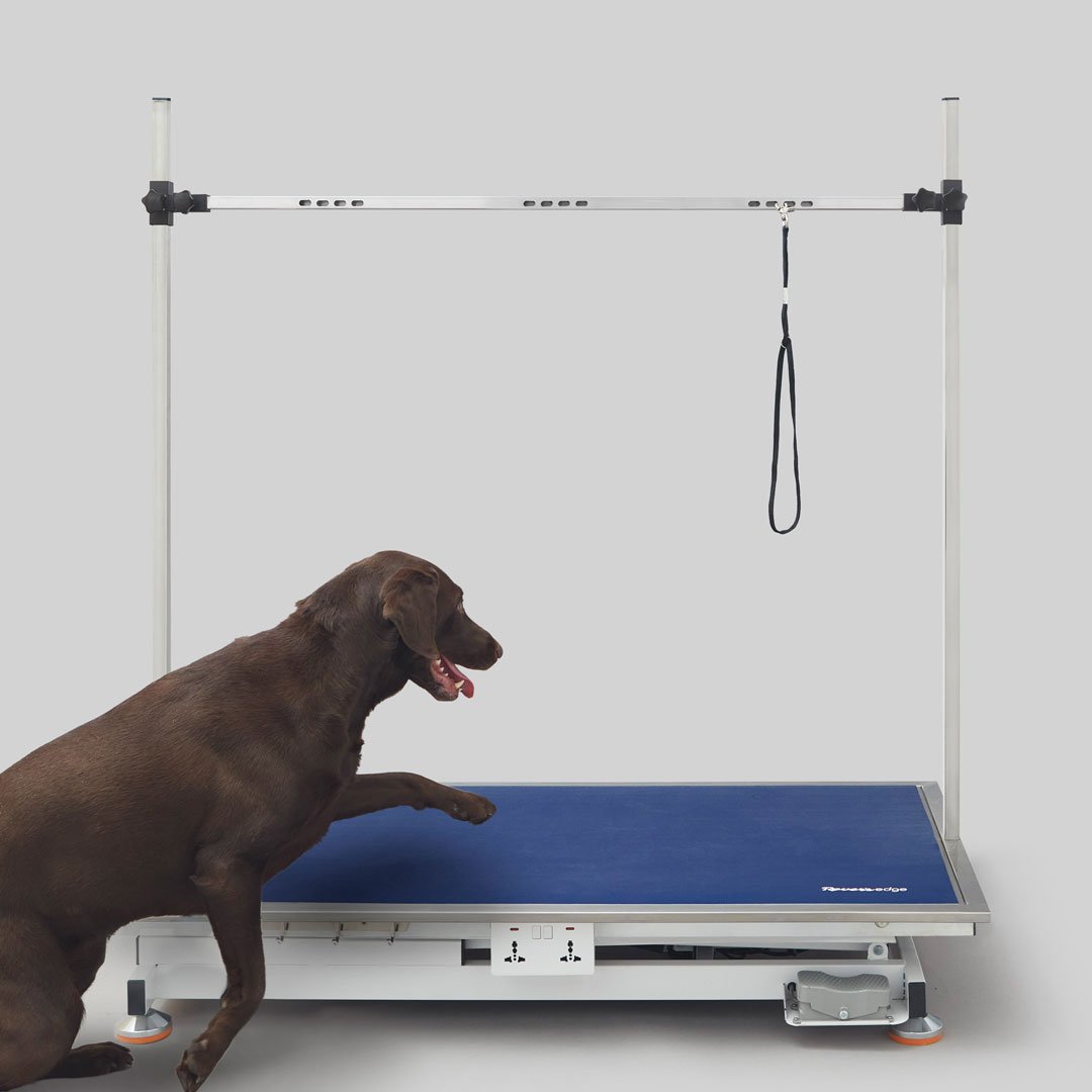 hercules_Rolo_walk-on.jpg