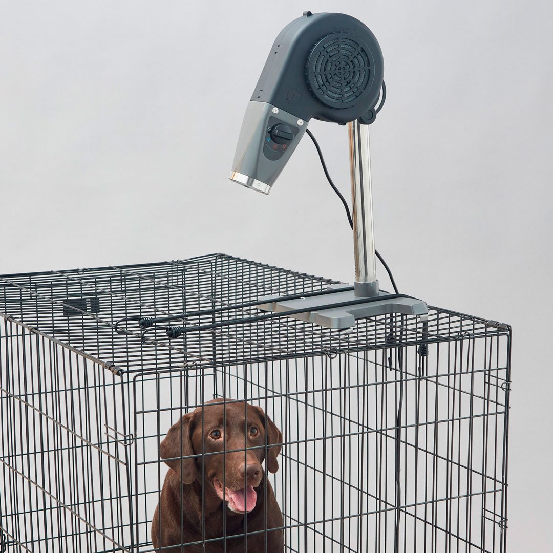 buddy_on_cage_Rolo.jpg