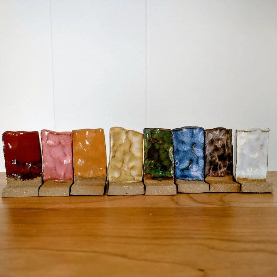 The purple hues of the bark on the now bare maple trees, the spent yellow blooms of the goldenrod, the persisting green moss that dapples the moist ground underfoot. Even in late autumn here in Maine, you can still experience all the colors of the ra