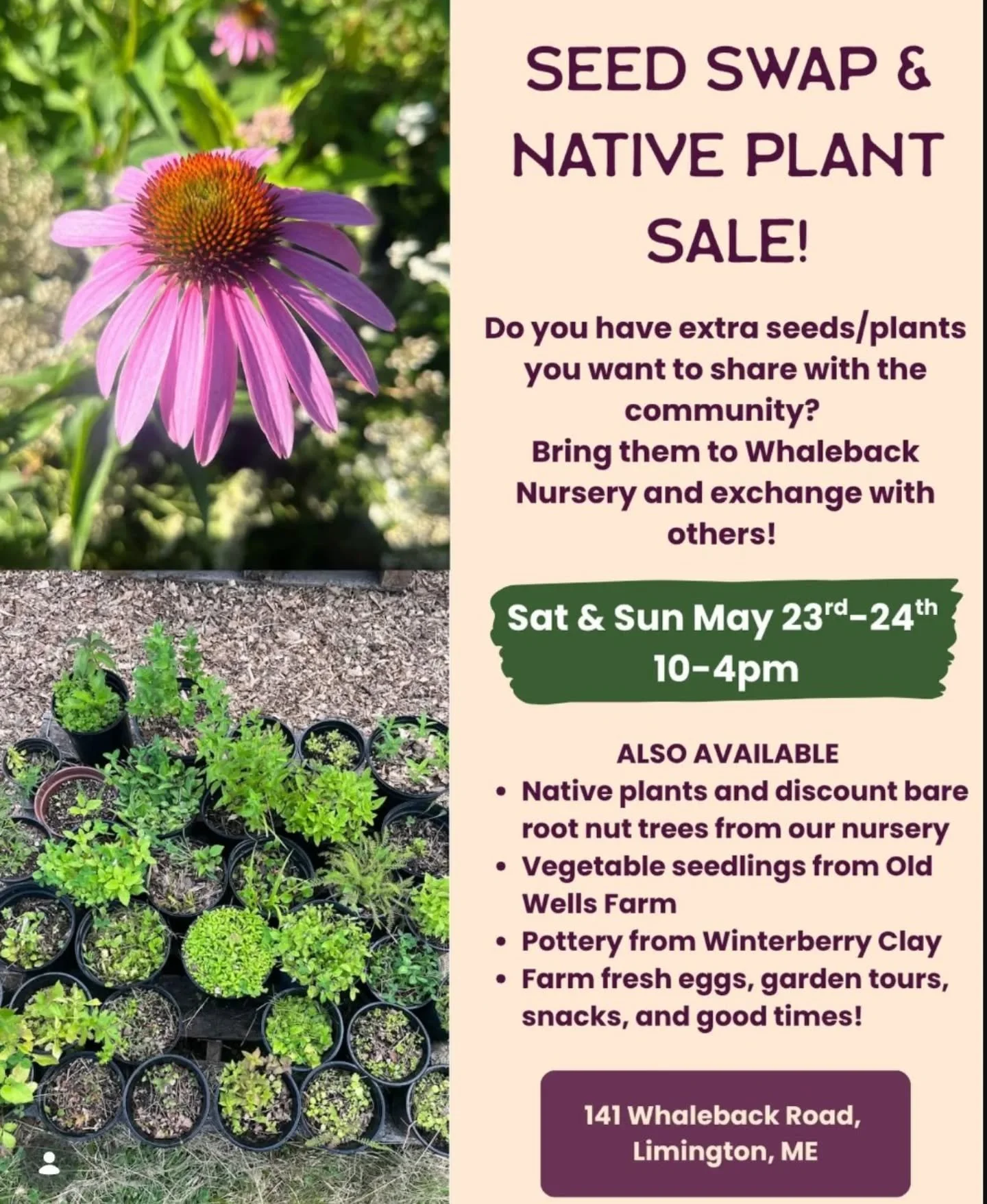 THIS WEEKEND!  Drop by the farm at @whalebacknursery and adopt your plant babies!  There'll be lots of cool stuff to check out. 😎

P.S. - I'll be there too! 💕🐸😚

#mainenativeplants #mainelocal #ecologicalgardening #madeinmaine #mainepottery
