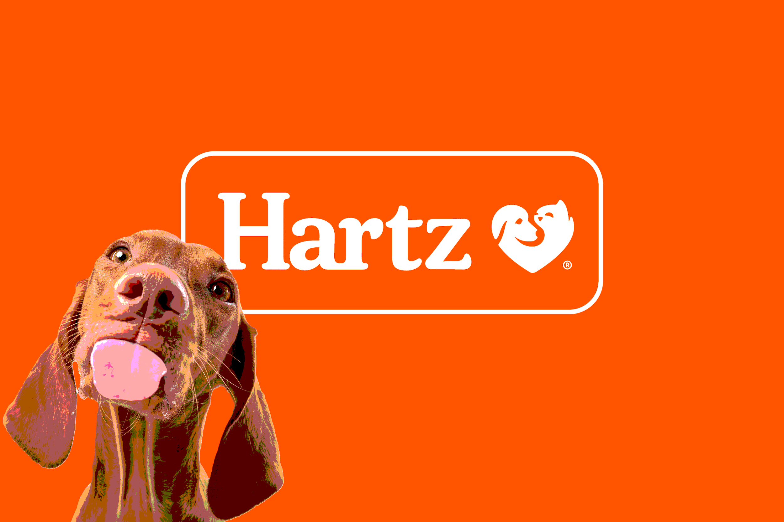 Hartz Social