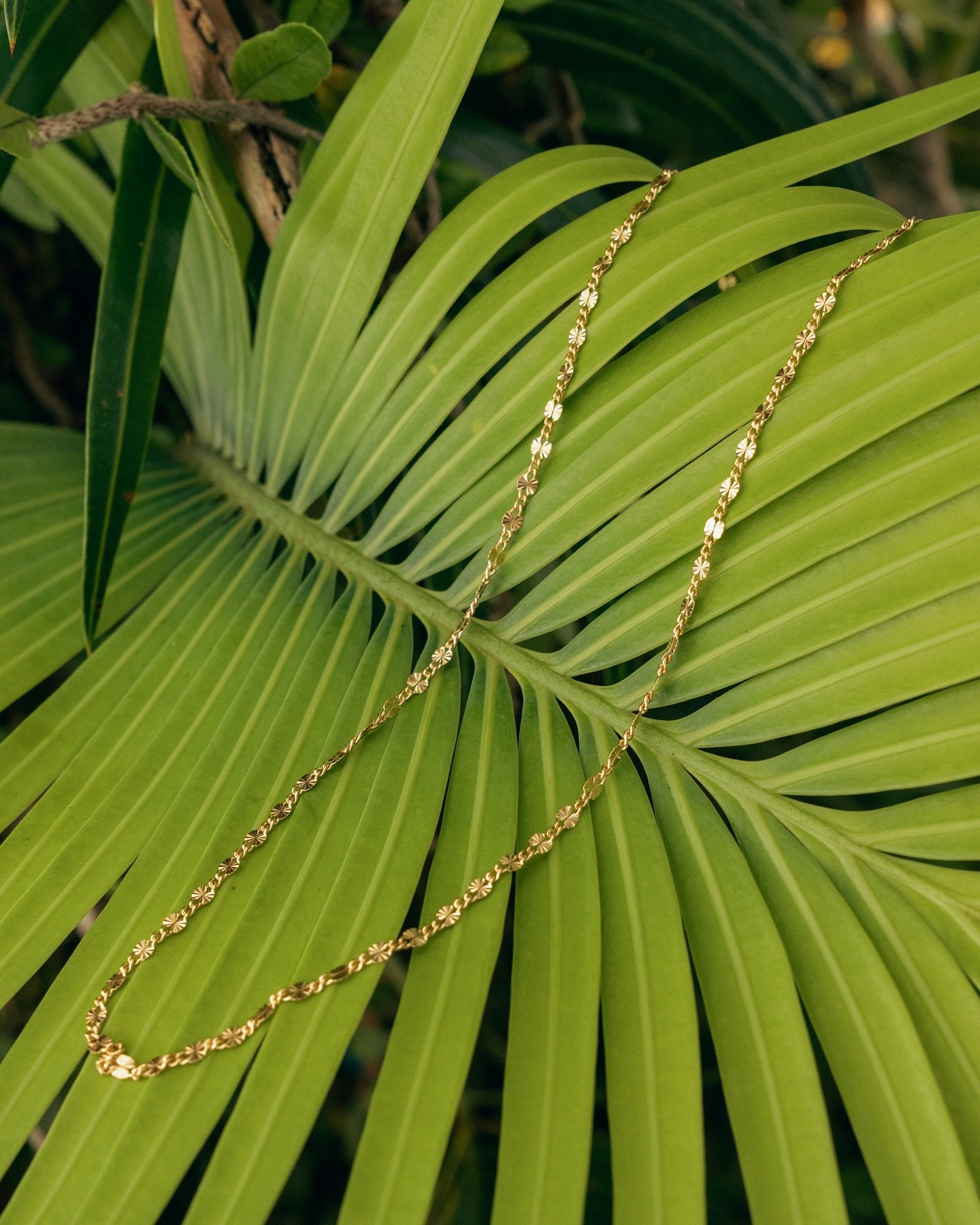 A match made in jewelry heaven: the Saint-Tropez necklace and bracelet ✨🦪