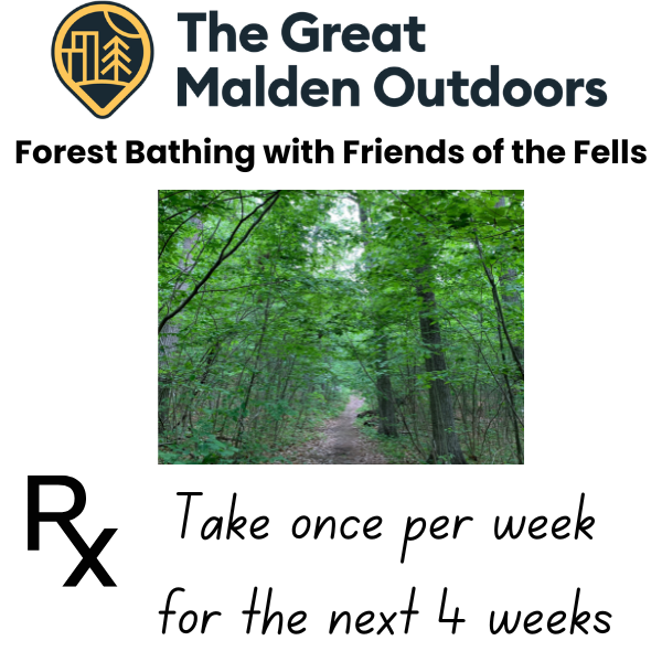 A photo of lush green forest trail with a dirt path in between the trees.