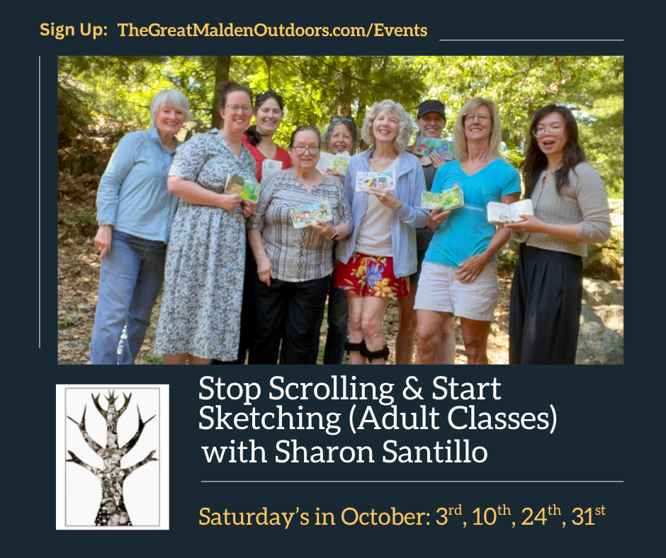 Stop Scrolling & Start Sketching Adult Fall 26' (IG).png