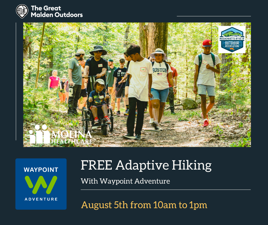 People of multiple ability levels and races doing an adaptive hike in the woods.